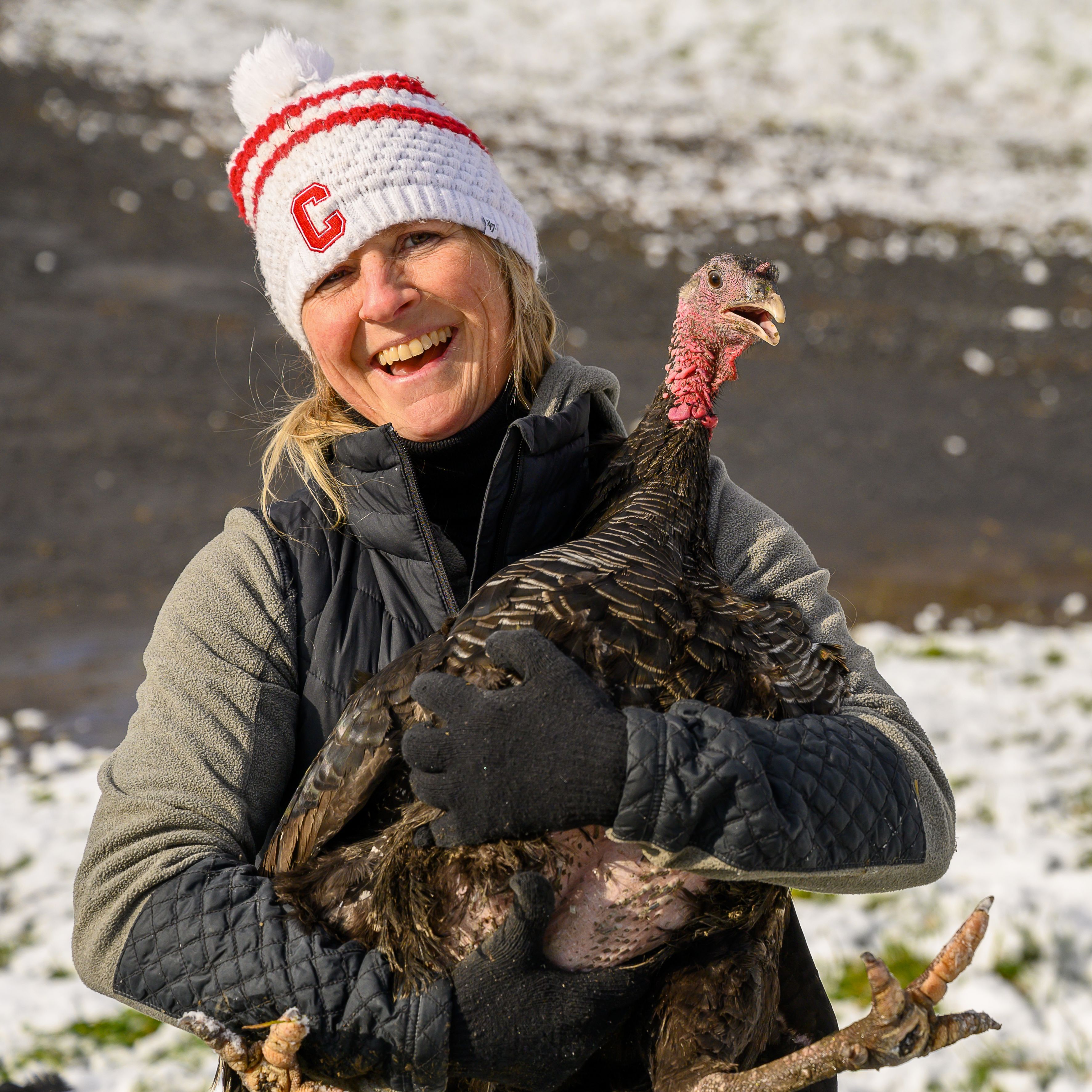 Talking Turkey