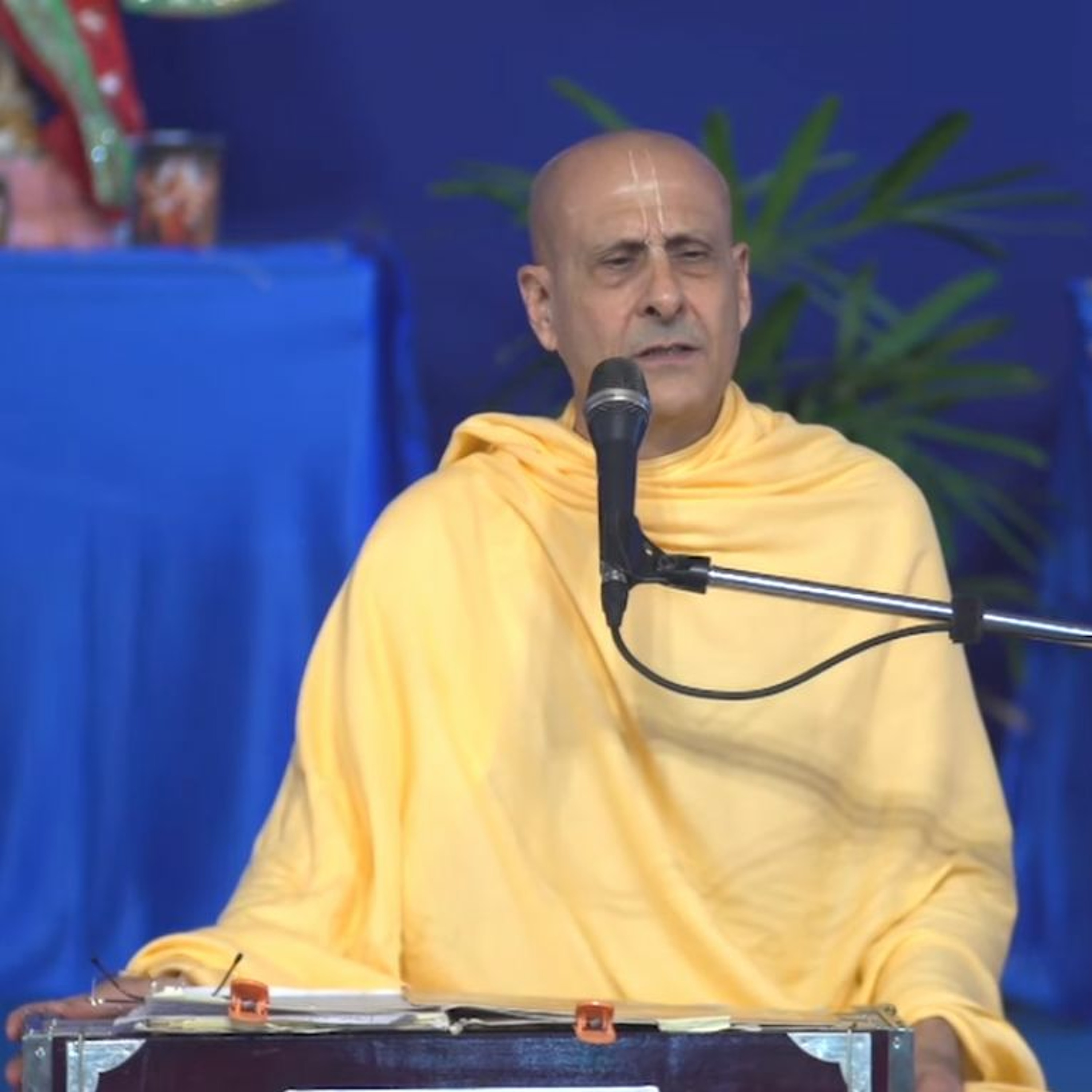 Radhanath Swami