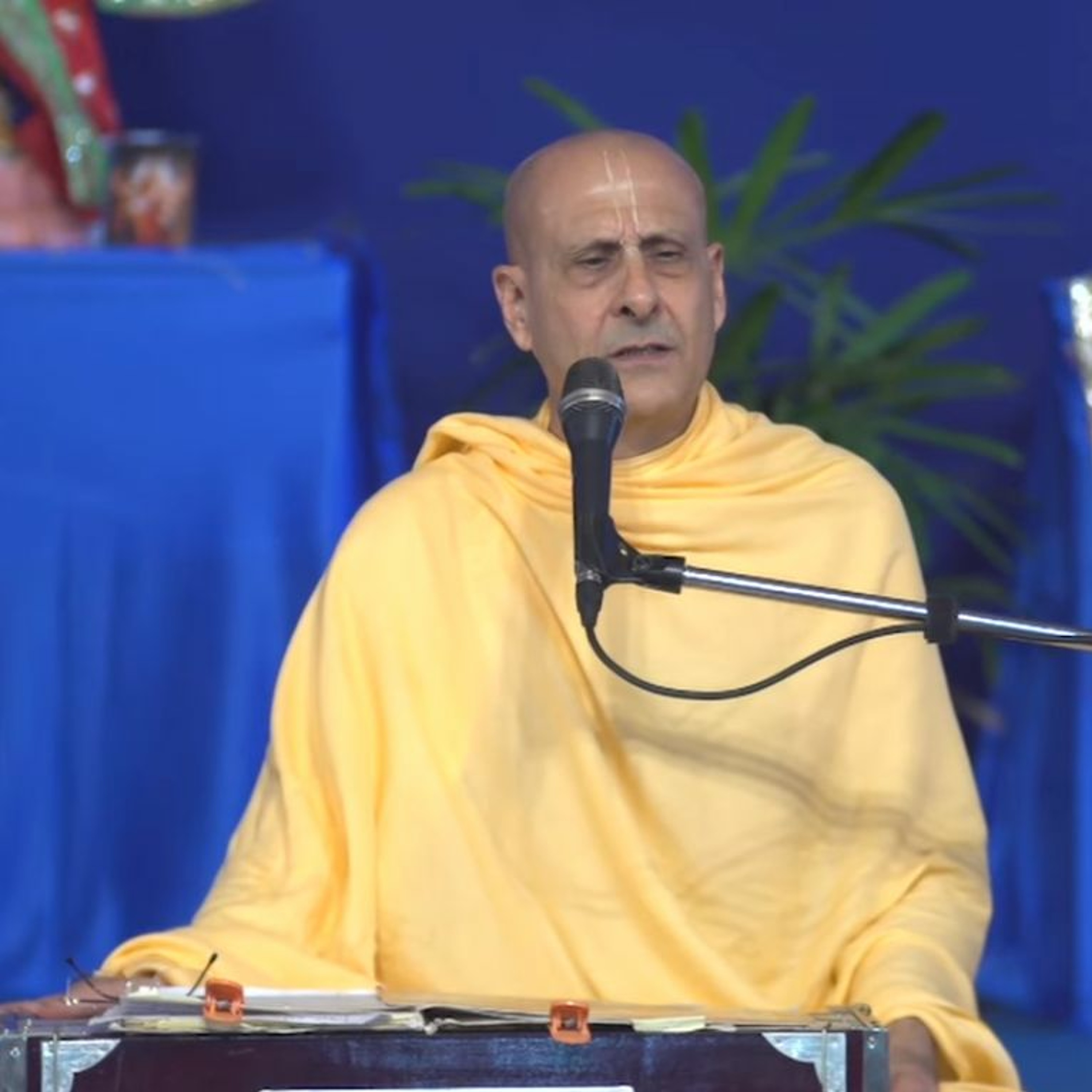 Radhanath Swami