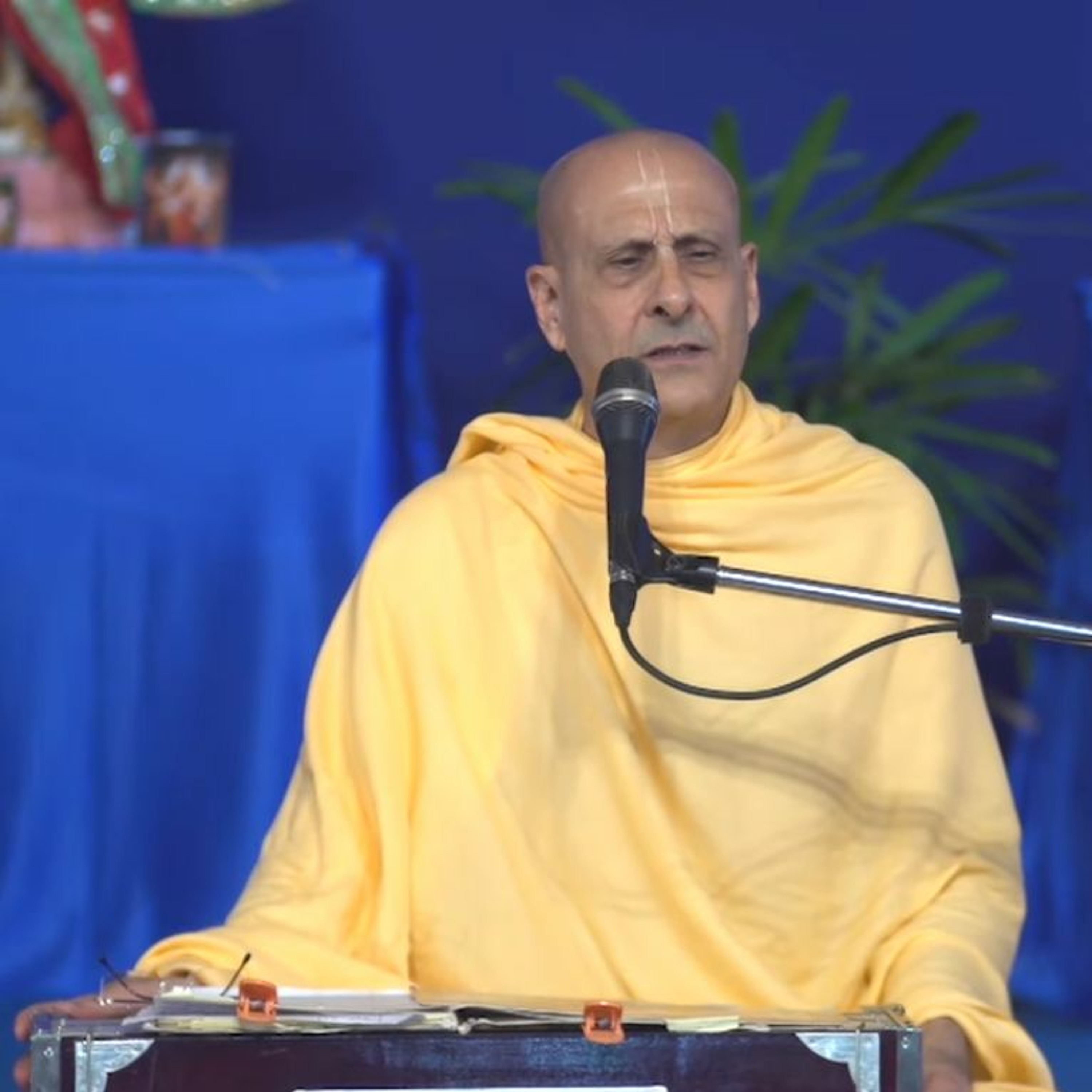 Radhanath Swami