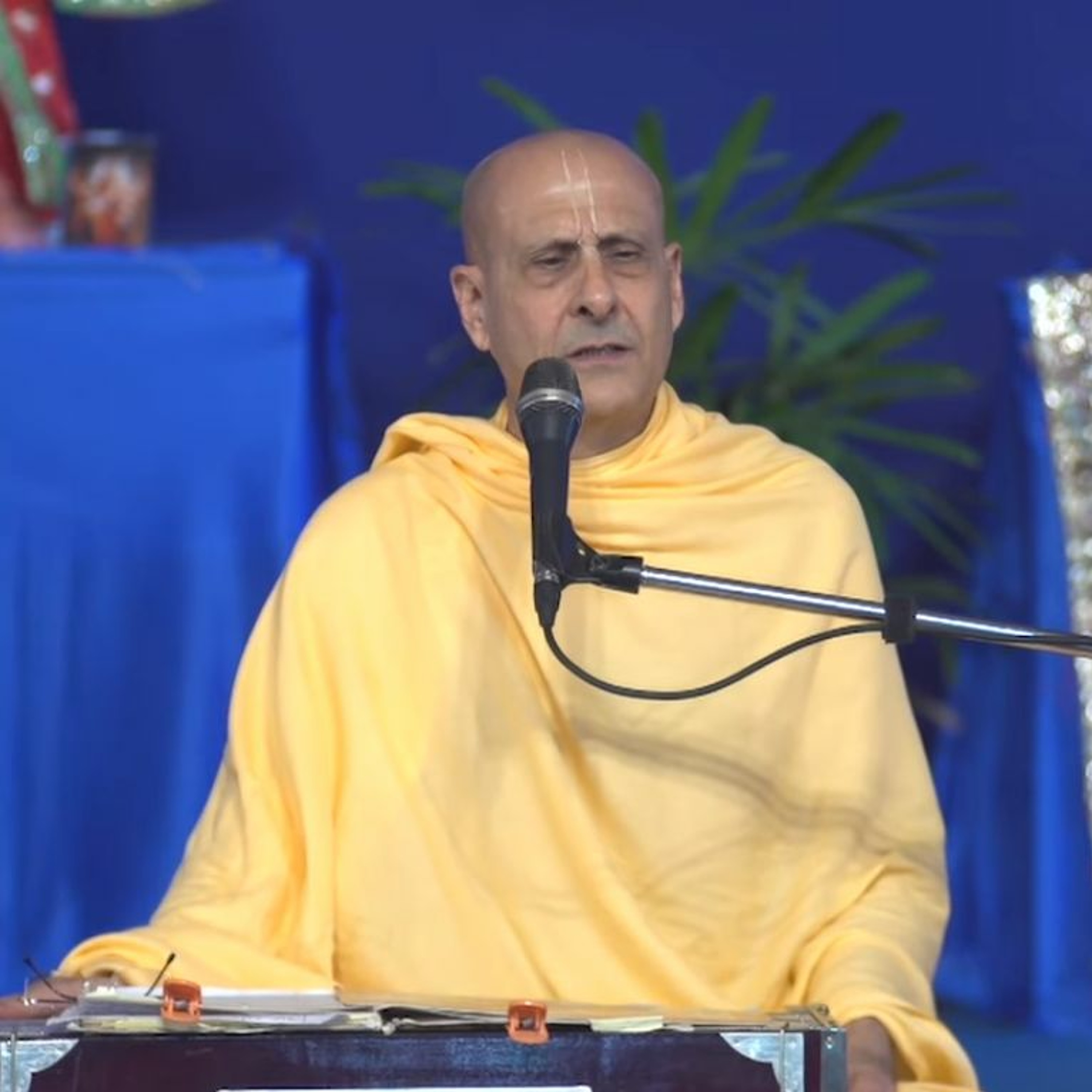 Radhanath Swami