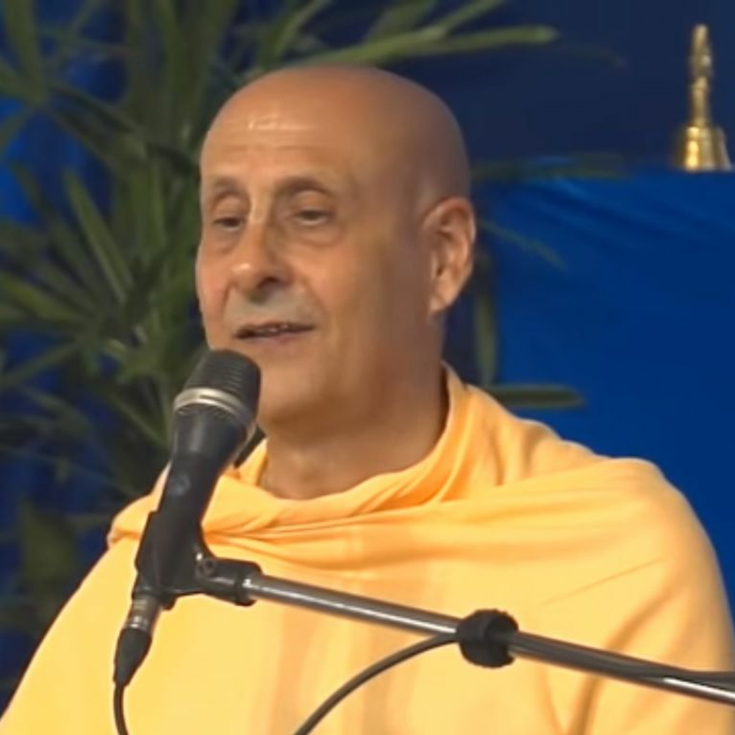 Radhanath Swami