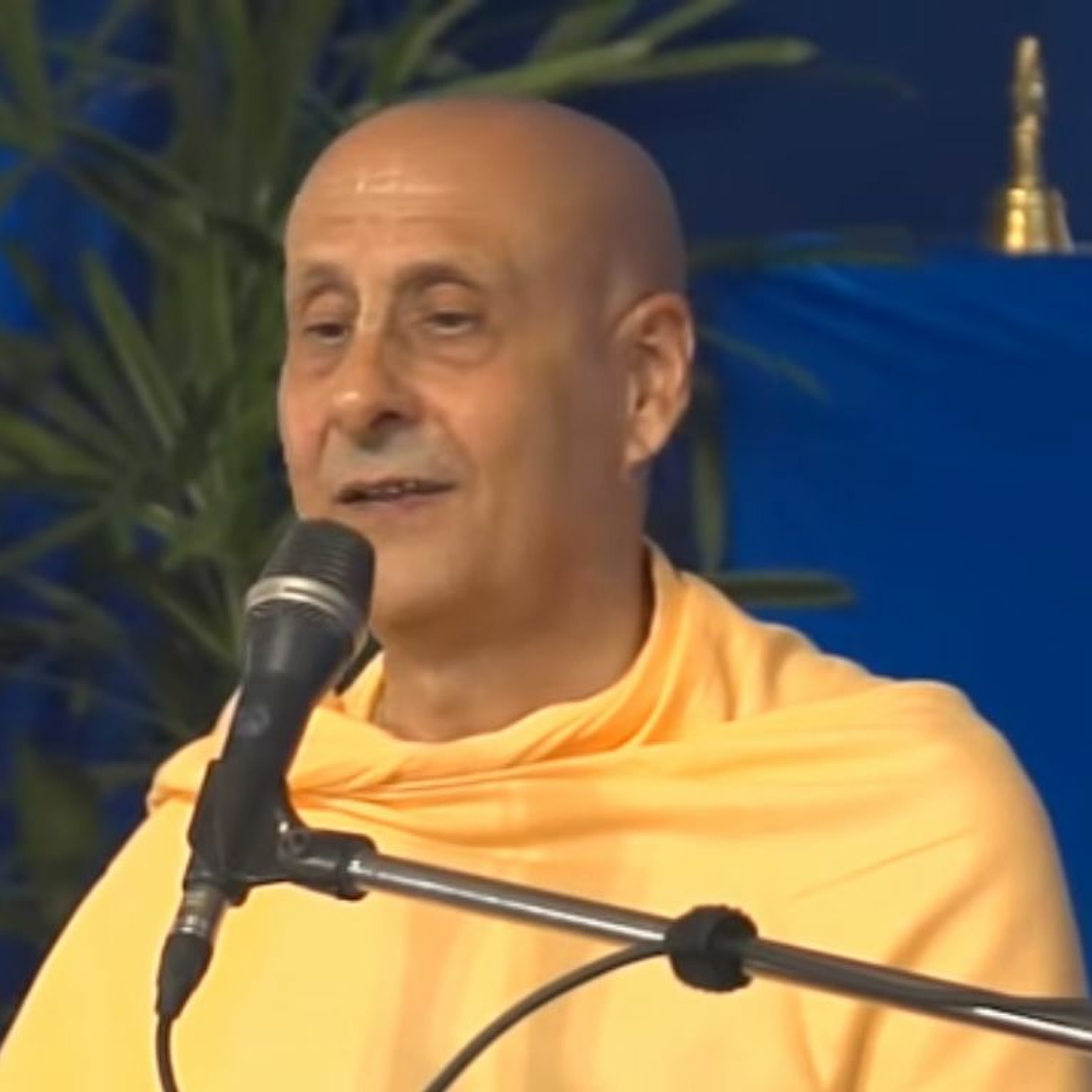 Radhanath Swami