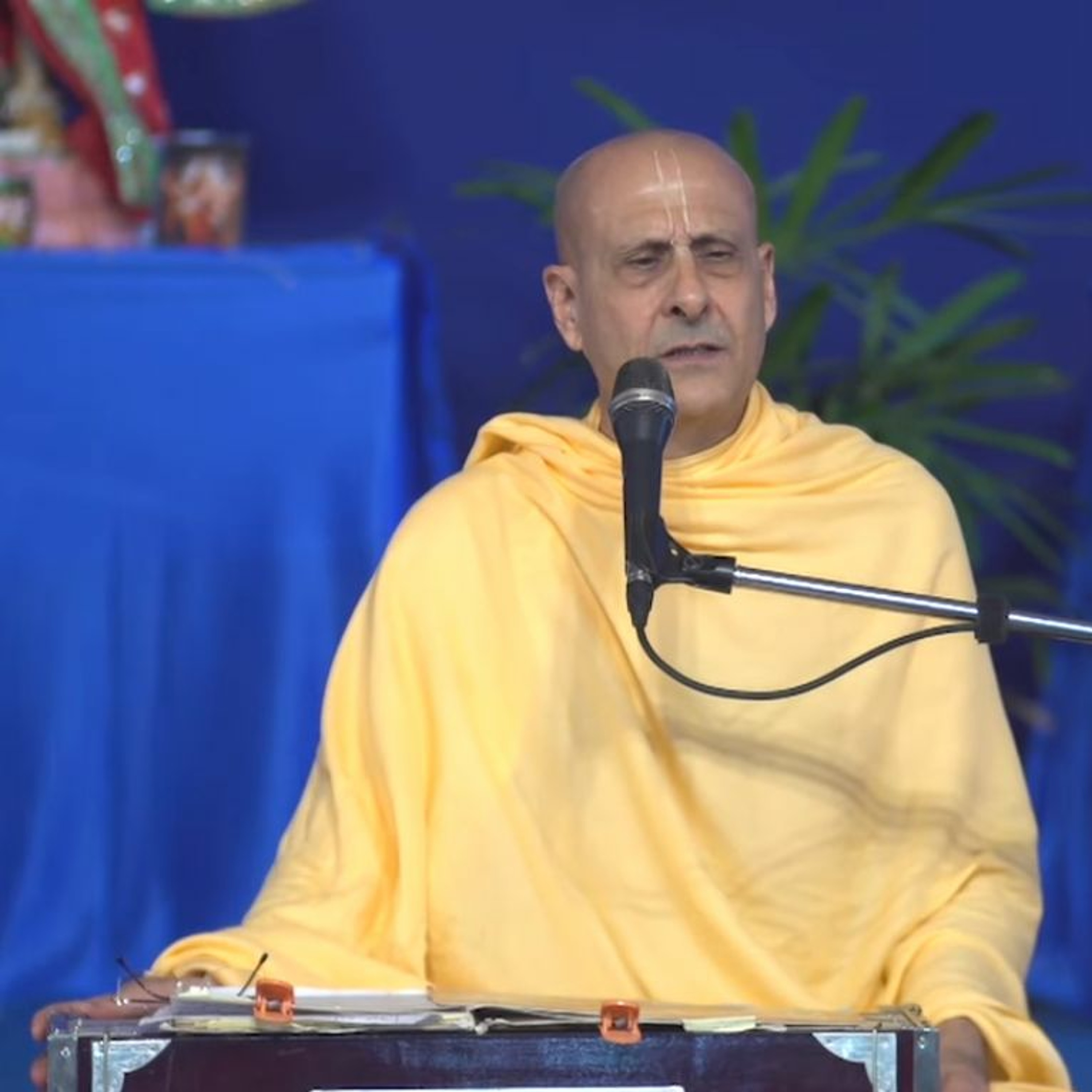 Radhanath Swami
