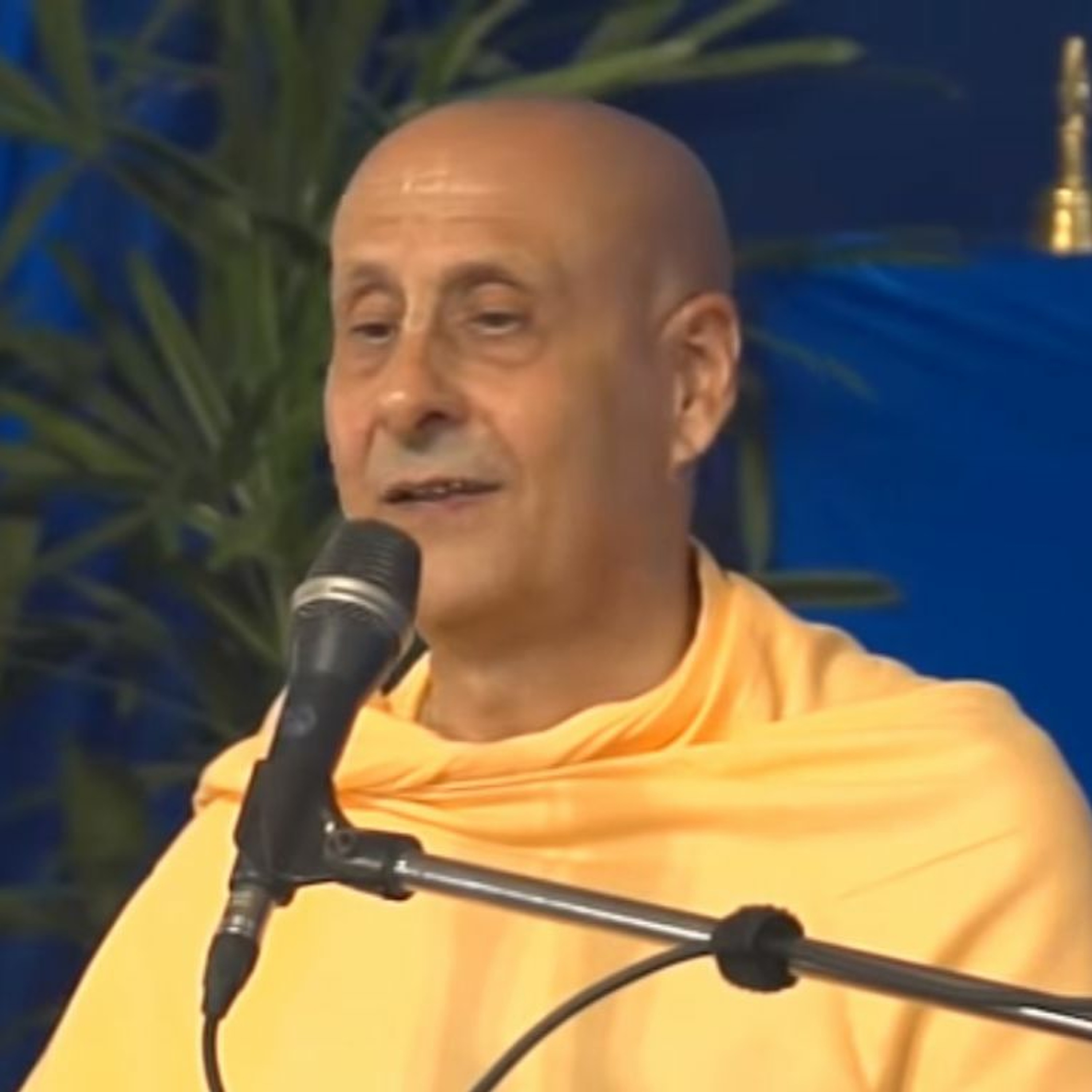 Radhanath Swami
