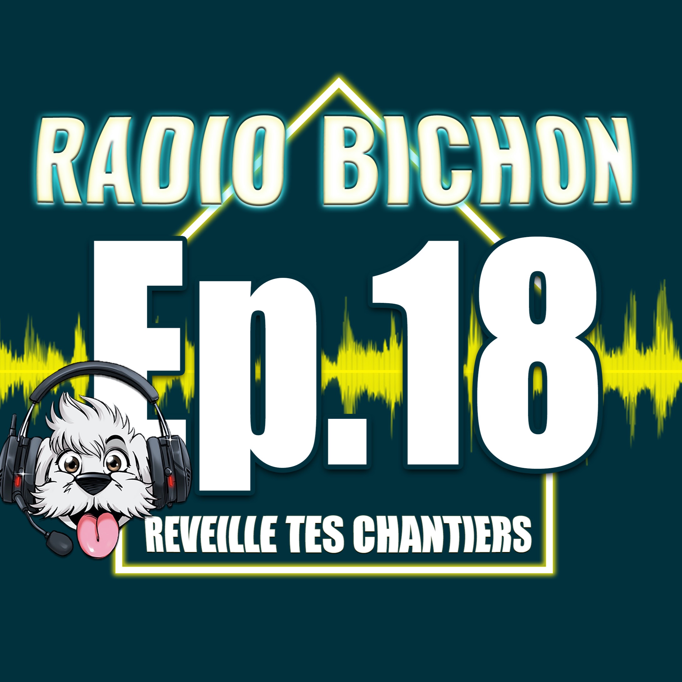 L'univers Du Bati-Support Enregistré à Batimat 2019 Radiobichon