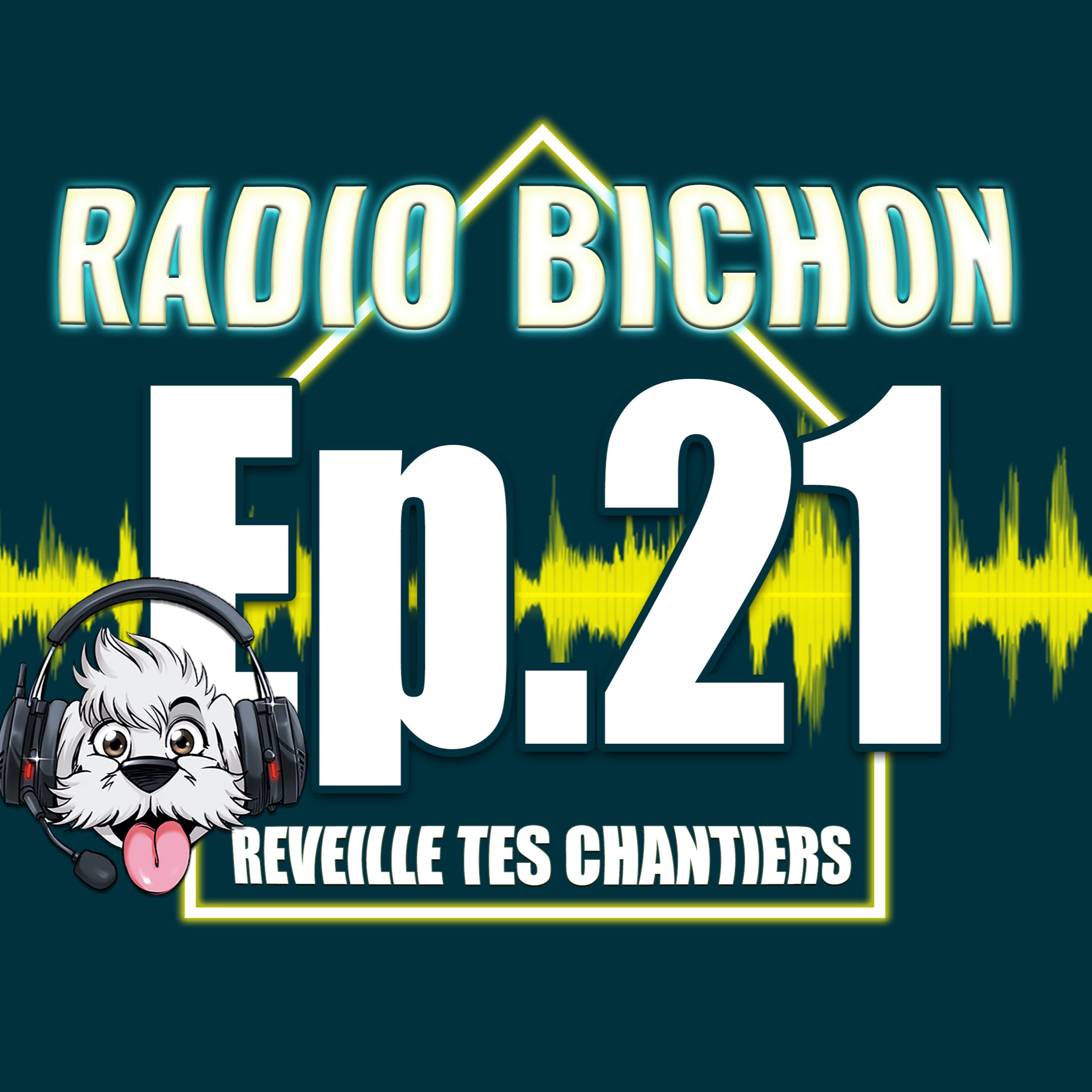 L'Ecologie Dans Le Batiment enregistré à Batimat 2019 Radiobichon