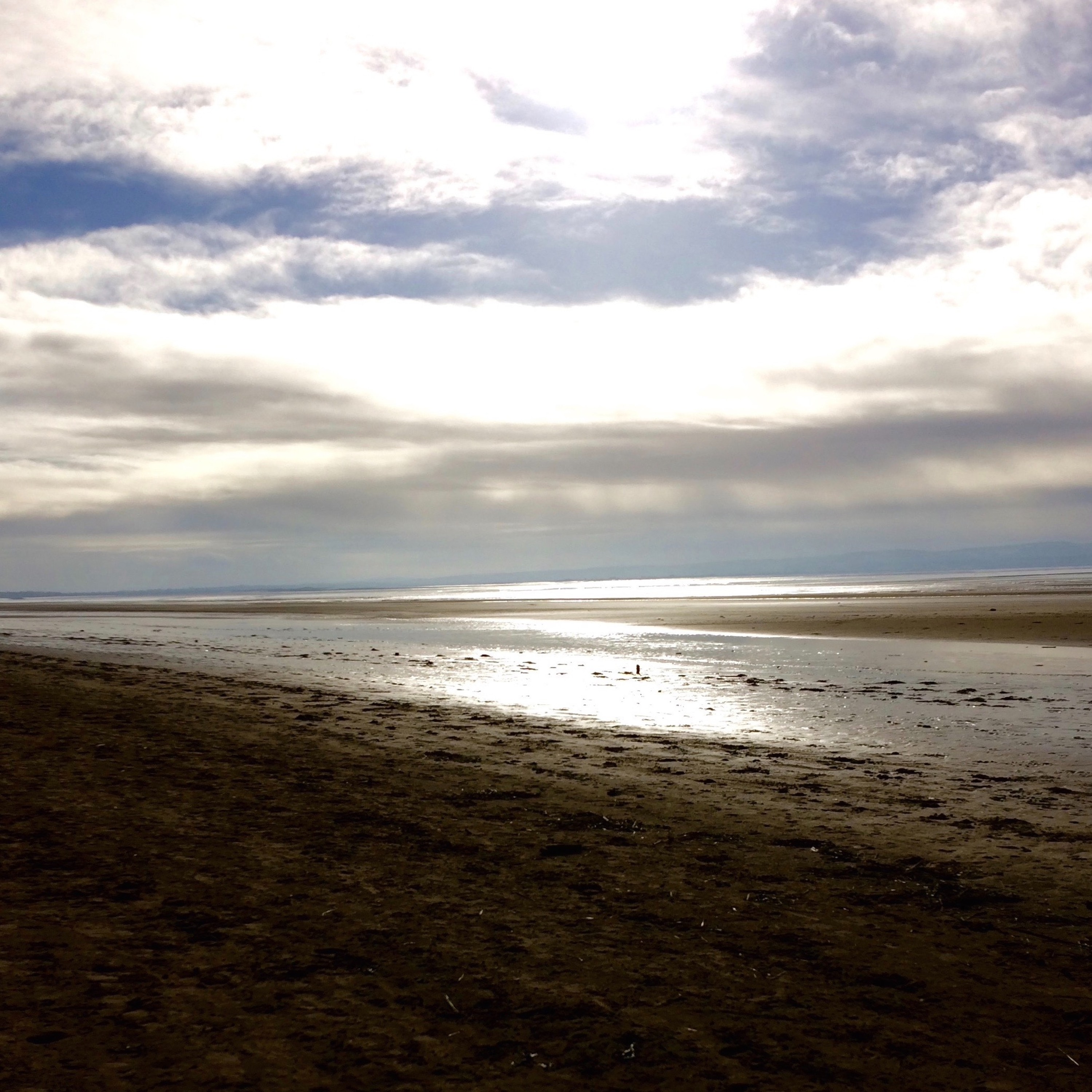 Shore Line Curve