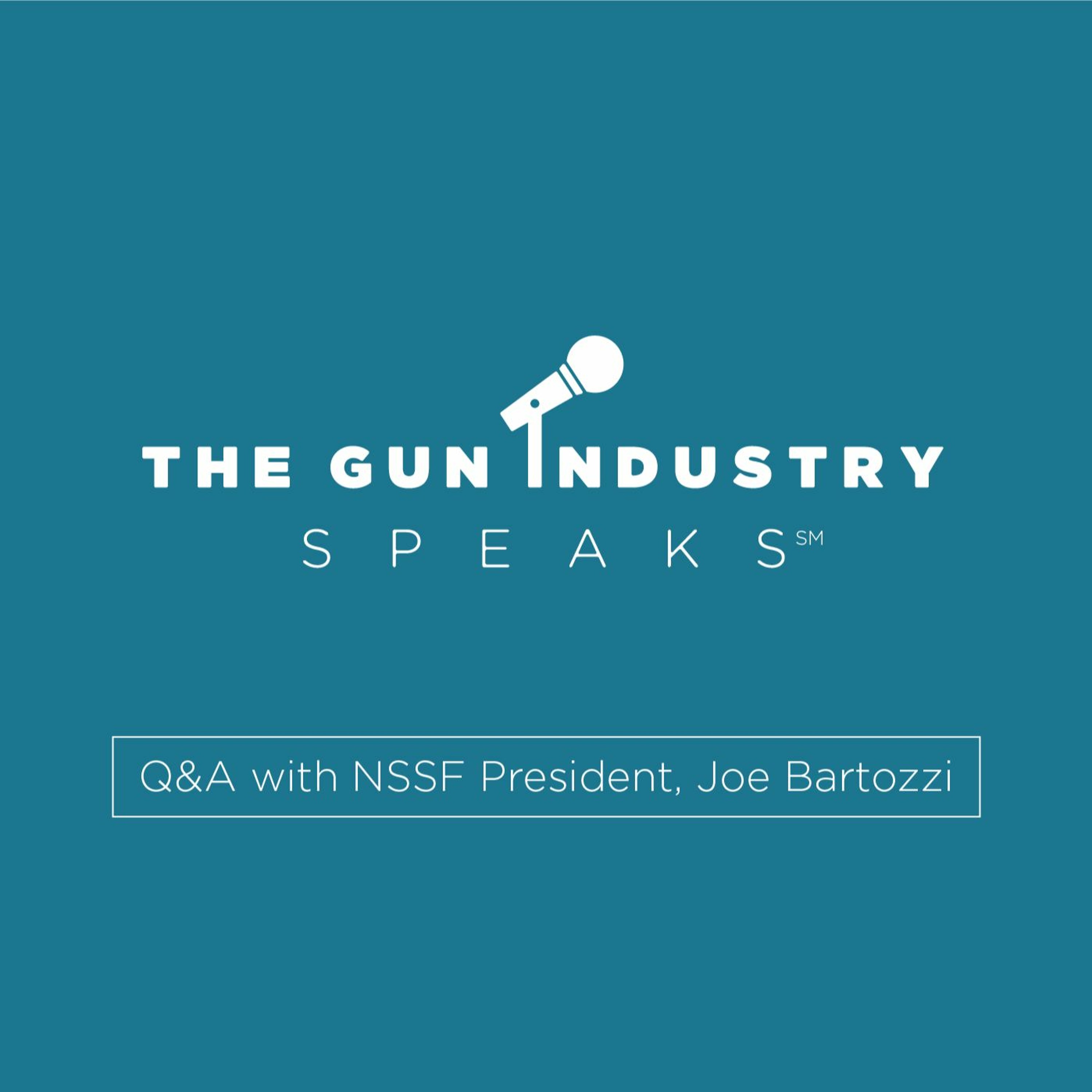 The Gun Industry Speaks