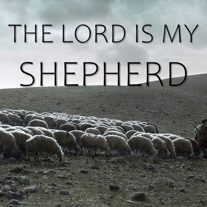 November 10th, 2019 | The Lord is My Shepherd