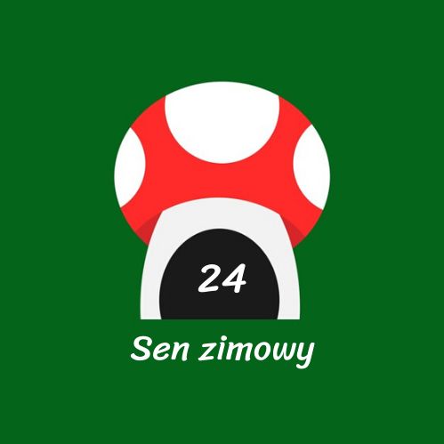 Sen Zimowy
