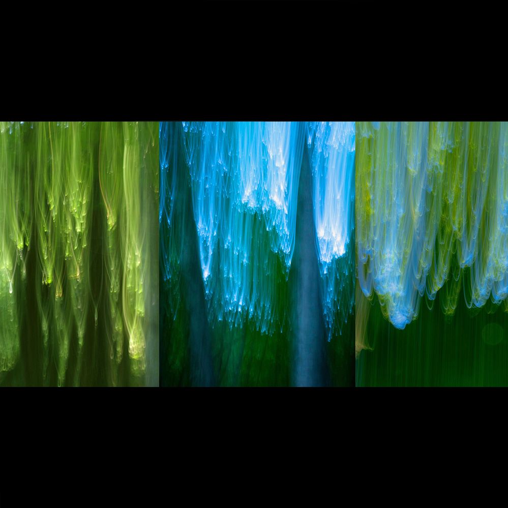 Ecology, History, and Photography with Artist Pamela Petro