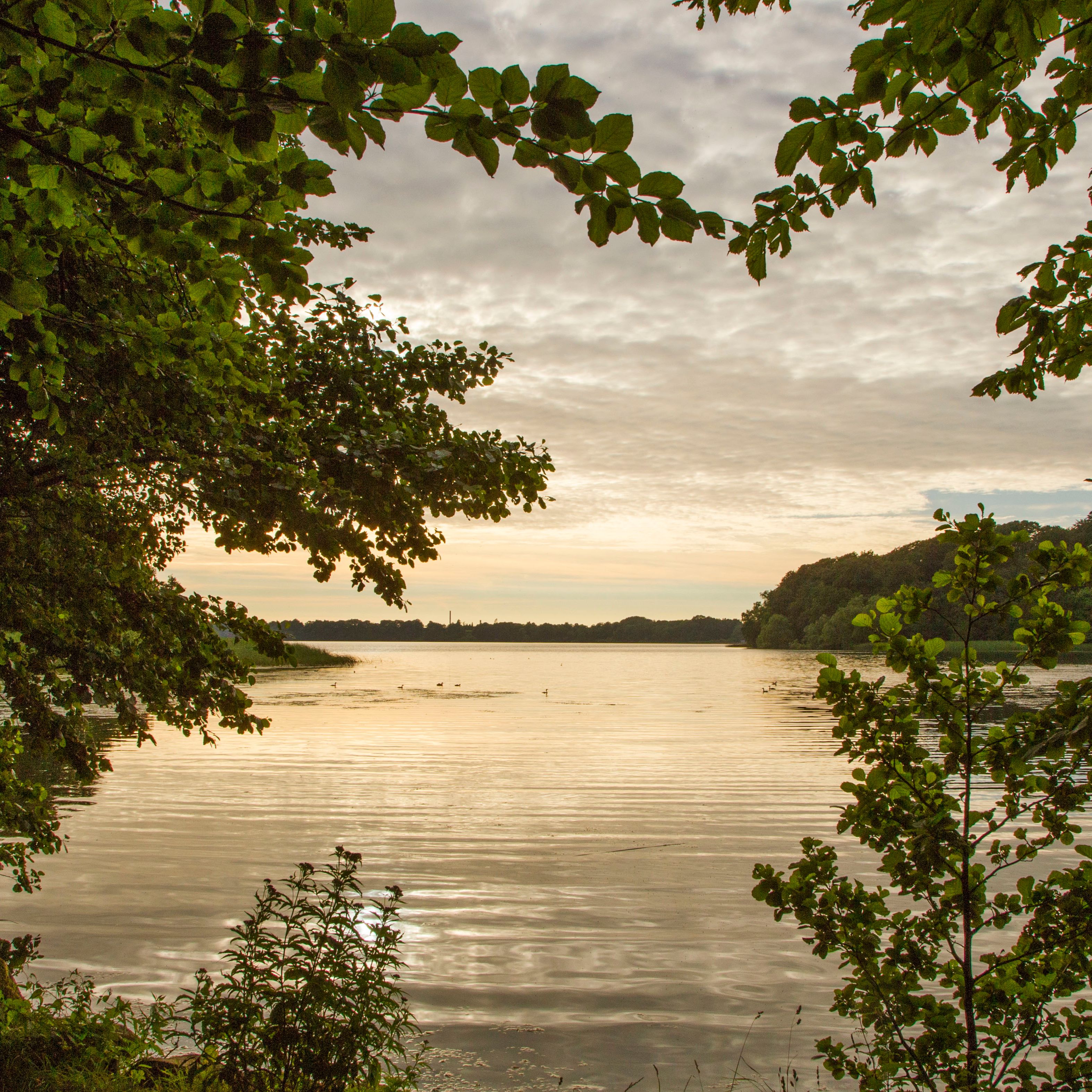 In Love with the world - Summer retreat 2019 - Part 6
