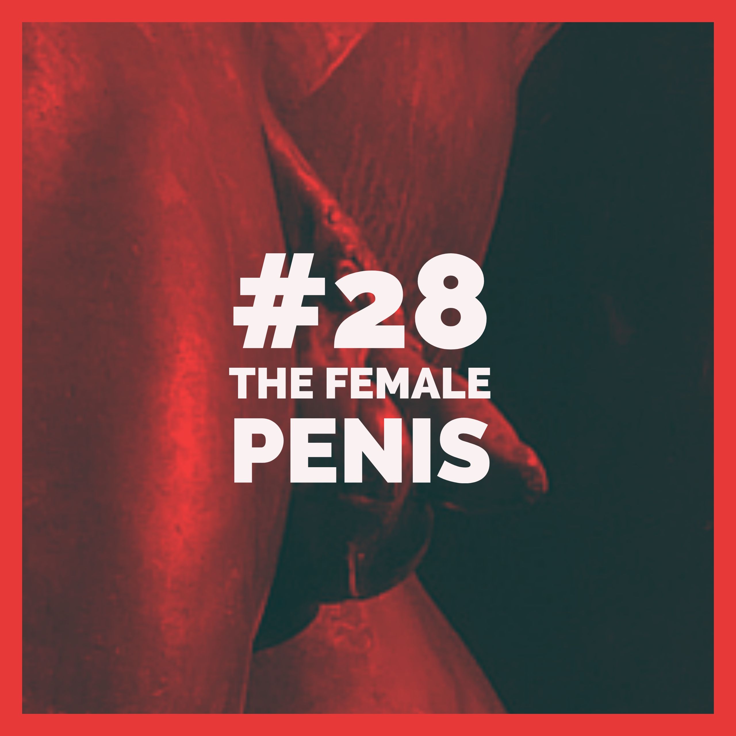 Superior Podcast - Episode 28 - The Female Penis