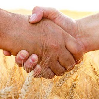Show 74: The Montana Grain Growers Vince Mattson