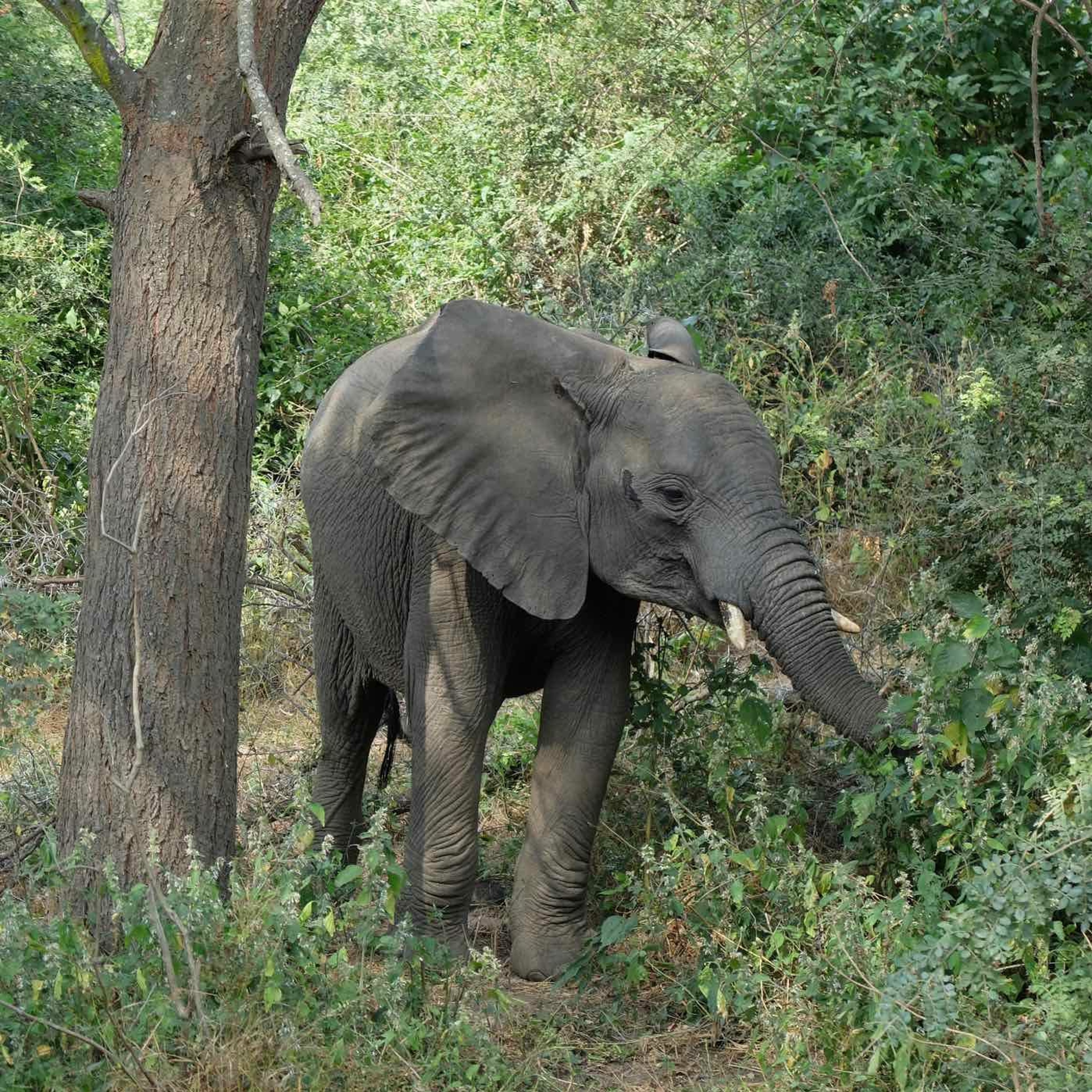Preben leser høyt fra SNL