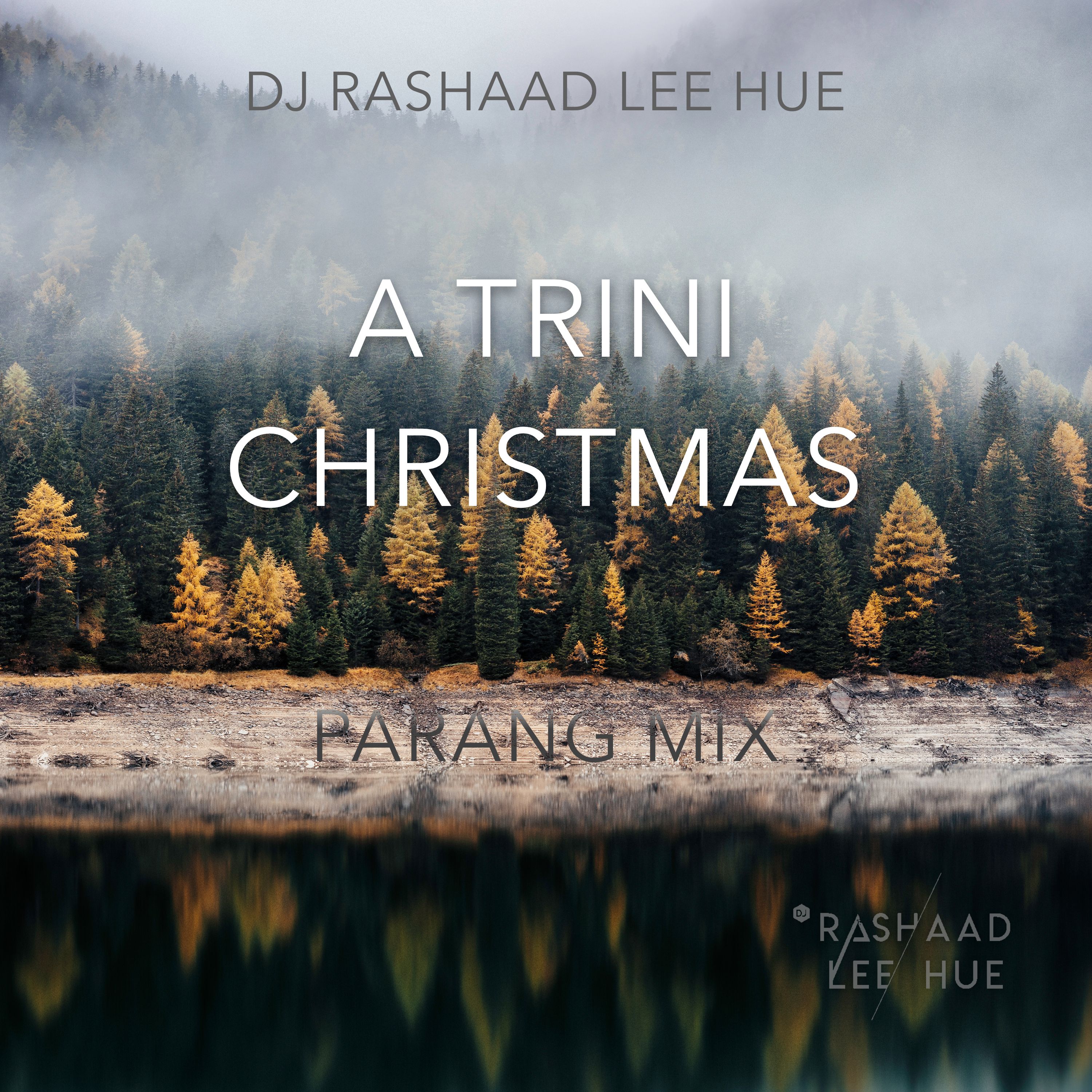 A Trini Christmas !