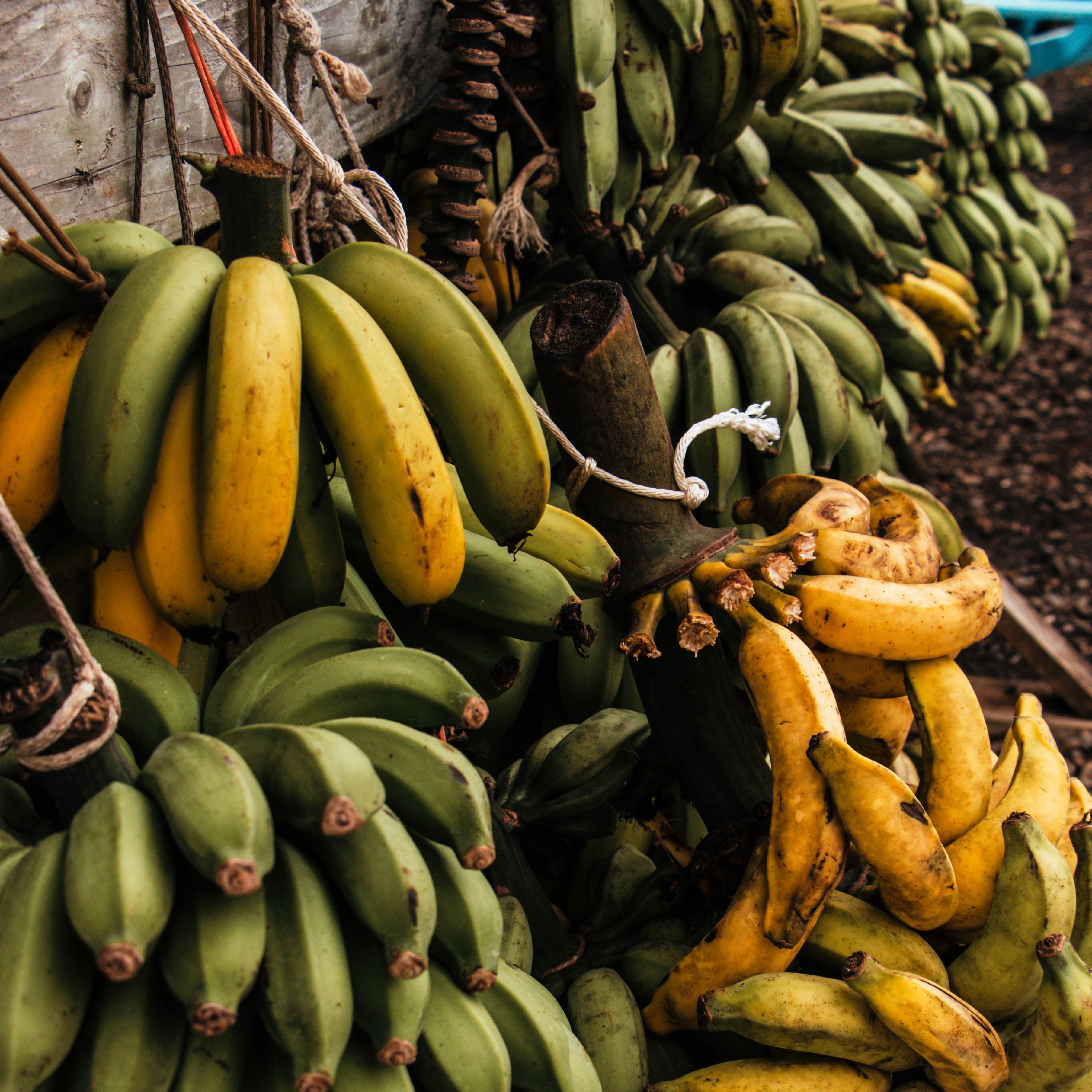 19 - Closing the living wage gap: the ‘banana retail commitment’