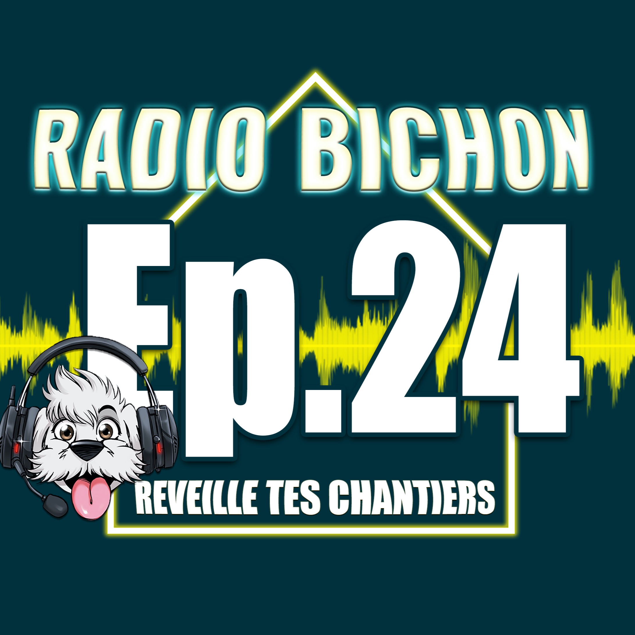 Etre ARTISAN dans le BTP En 2020 Batimat 2019 Radio Bichon