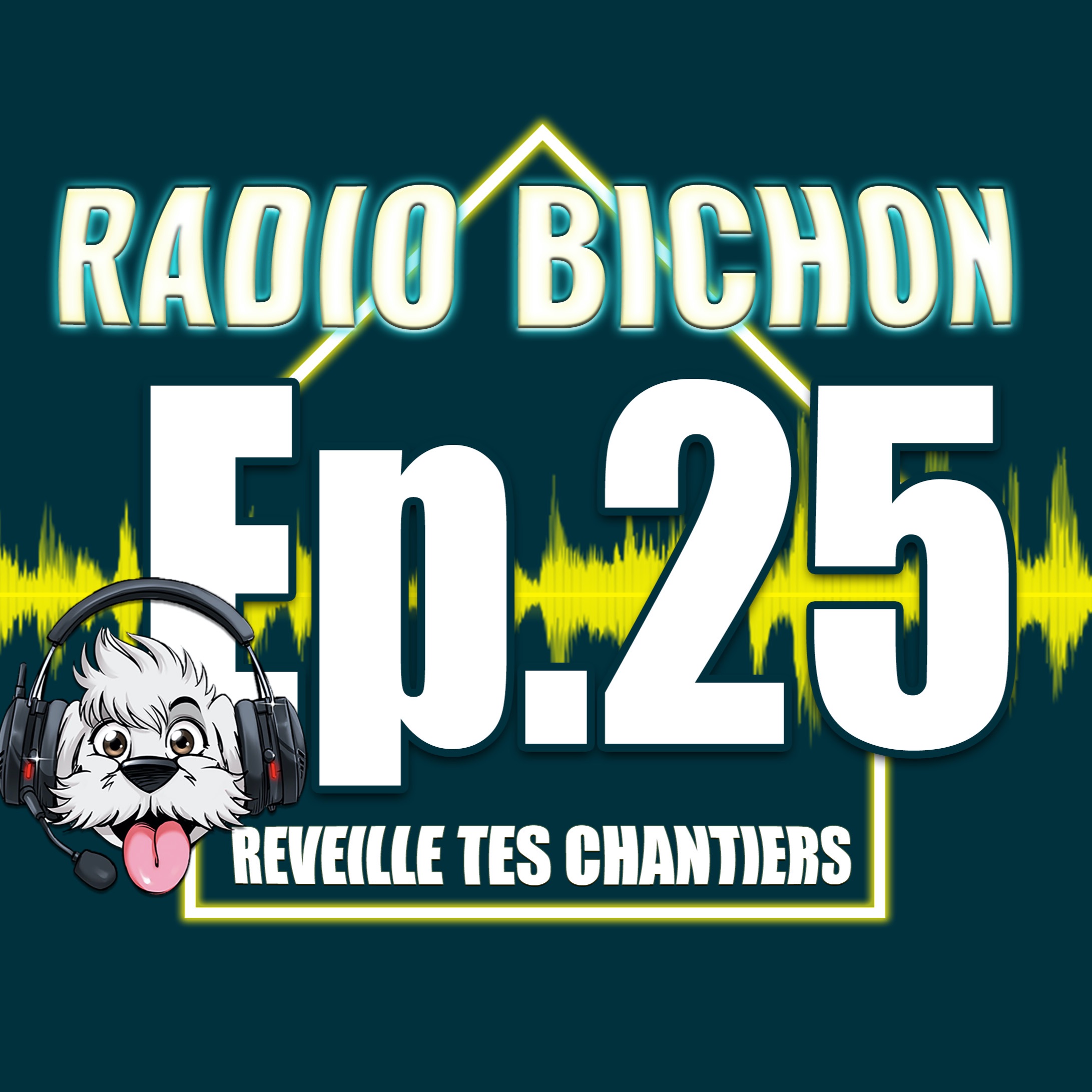 Bien Communiquer Quand On Est Artisan Batimat 2019 Radio Bichon