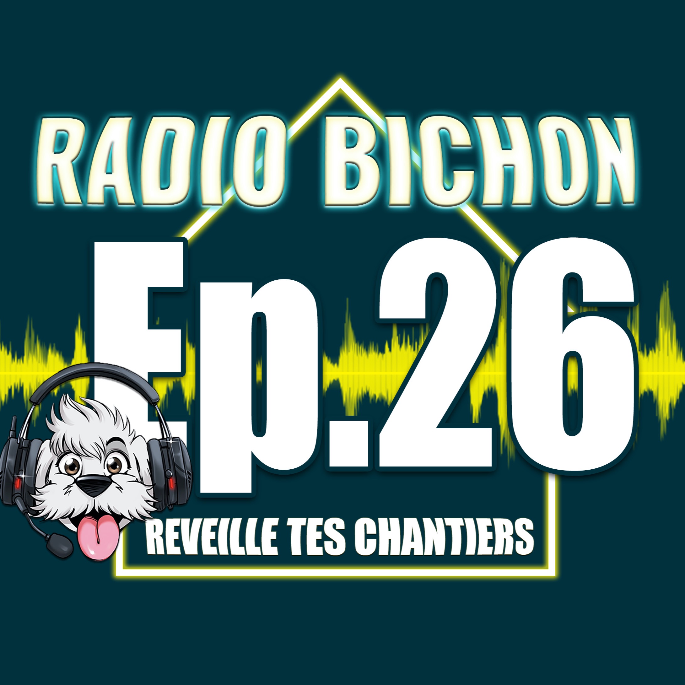 GSB Vs GROSSISTE Vs INTERNET Batimat 2019 Radio Bichon