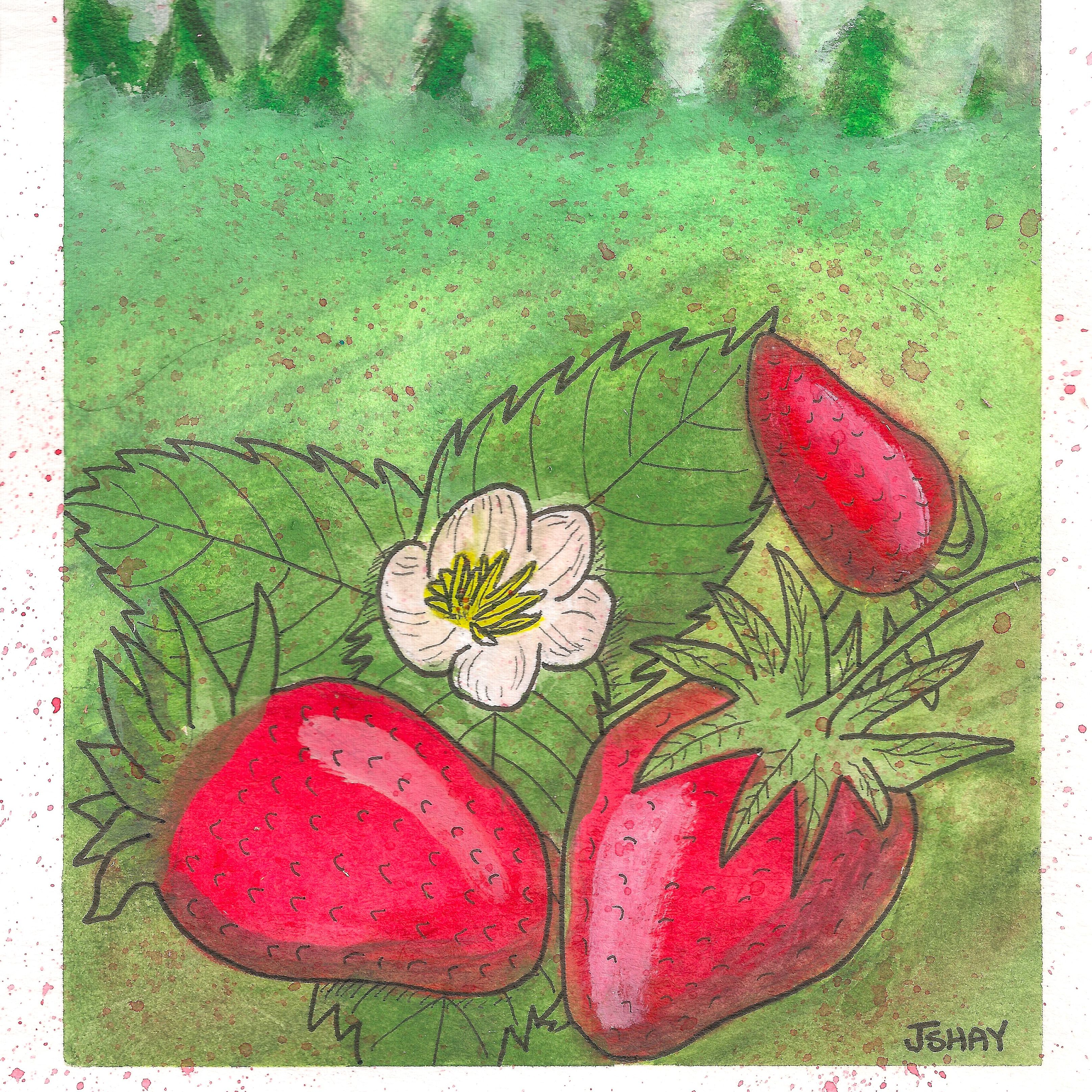 The Pulse of Plants: Dr. Sara Baguskas