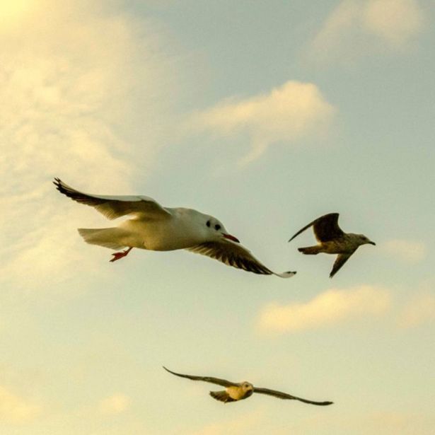 Radical Acceptance - Part 5a - Nonduality