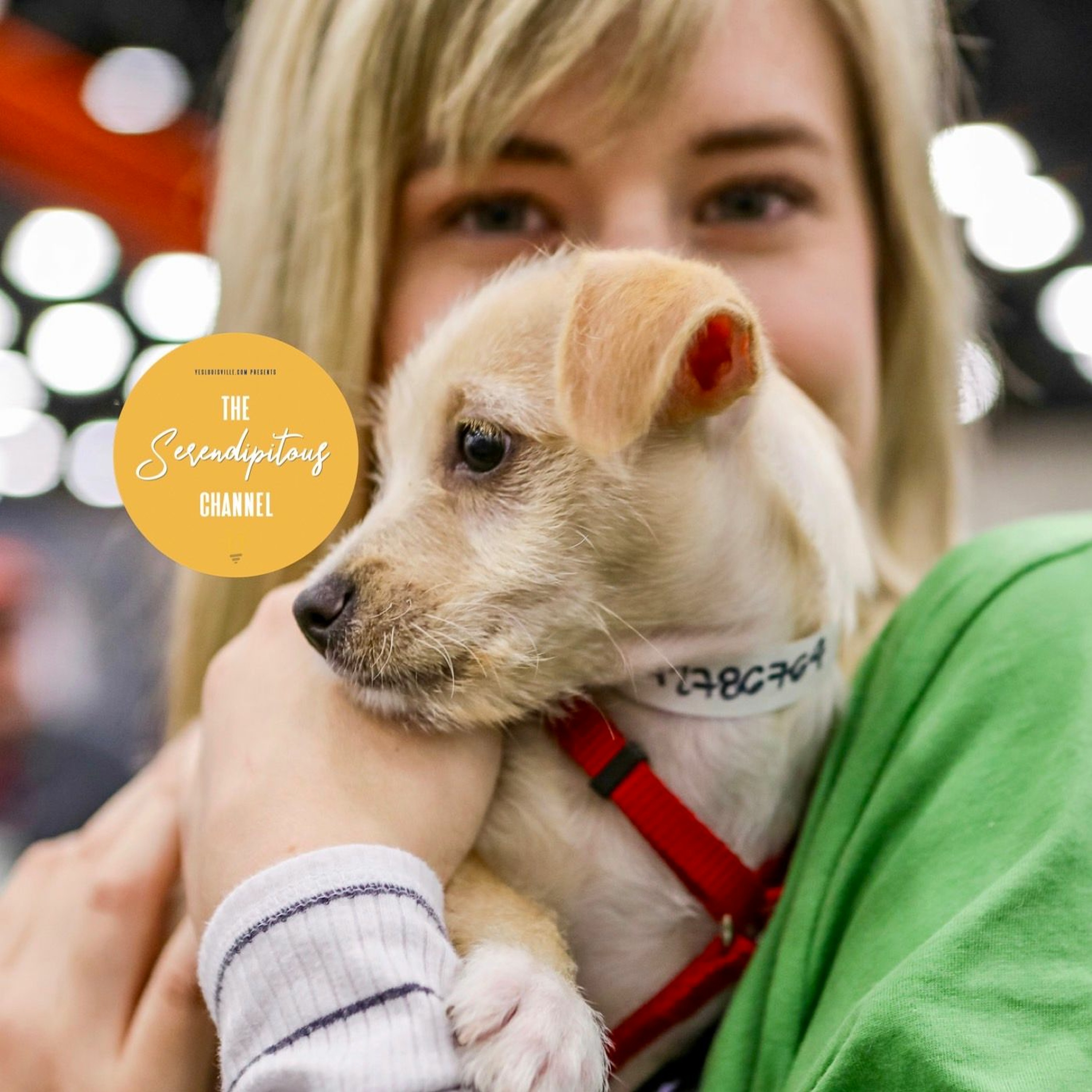 Furry Families #502LeaderSeries Podcast