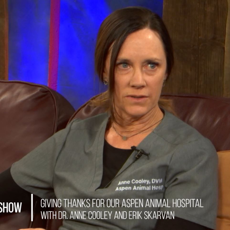 The Local's Show - "Giving Thanks for our Aspen Animal Hospital"