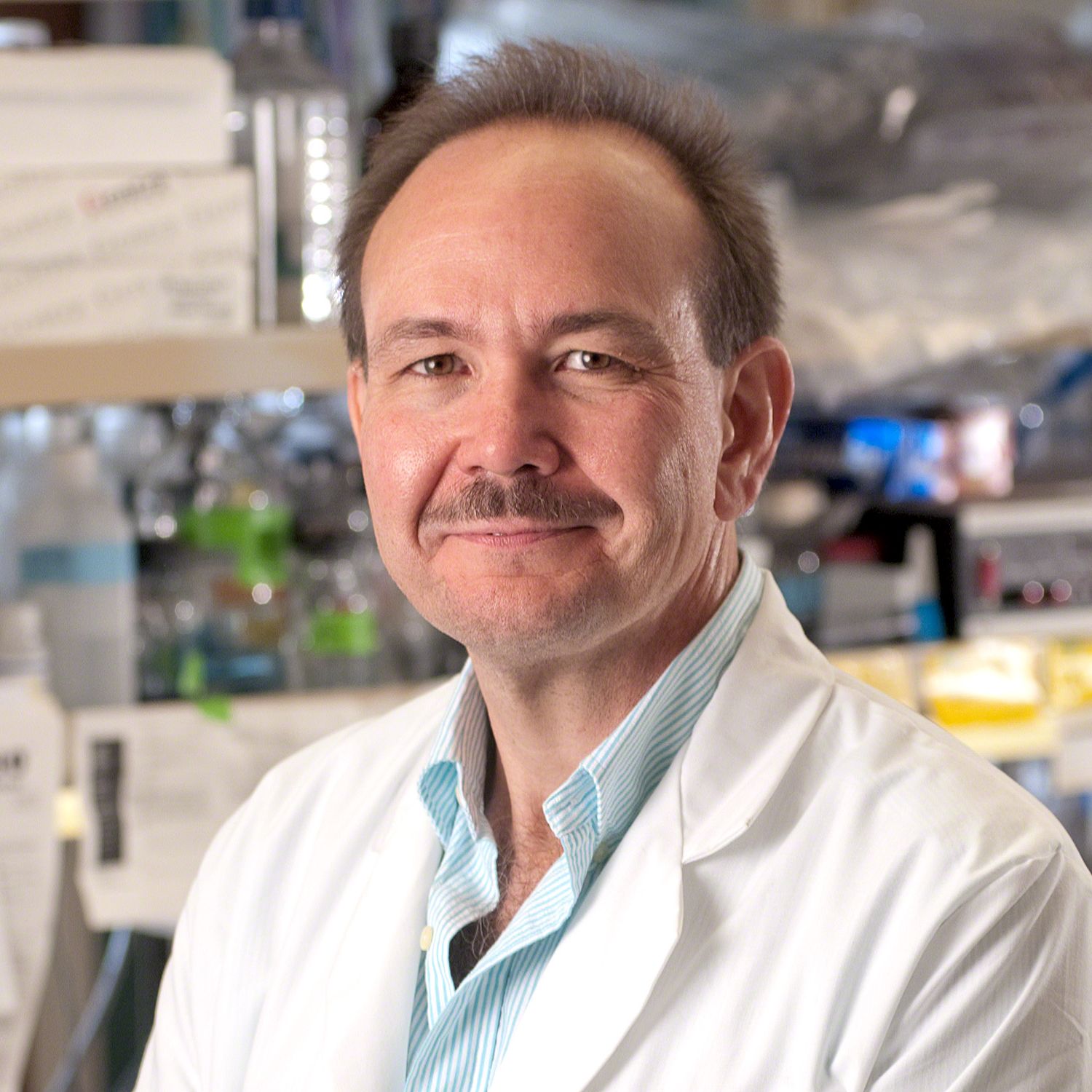 How discovery and determination led to a lifesaving cancer drug