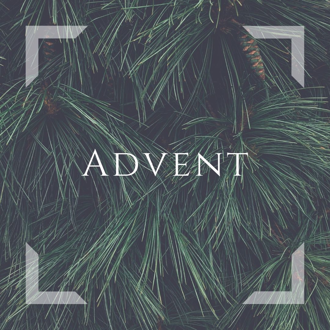 Advent: Hungry for Peace