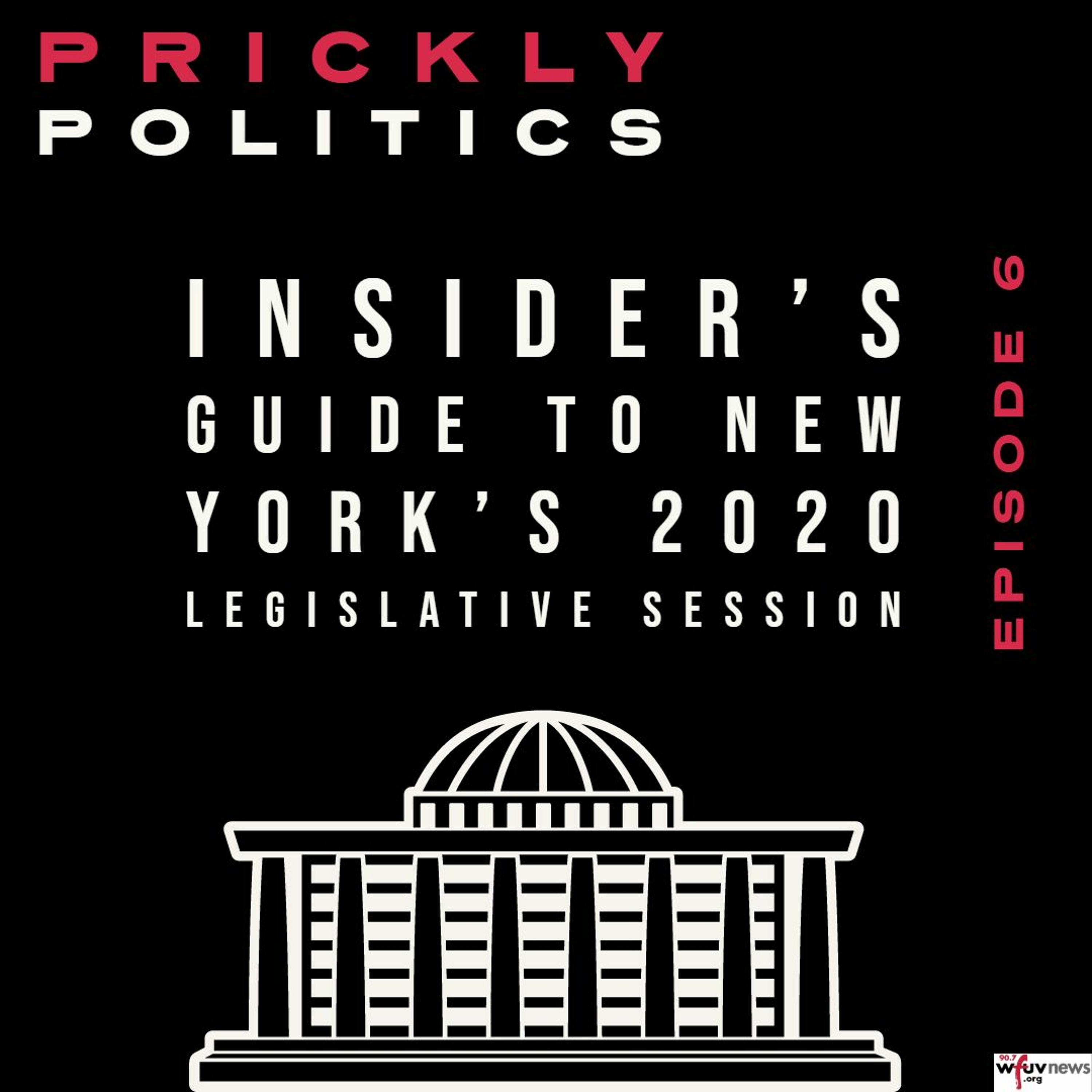 Insider's Guide to New York's 2020 Legislative Session