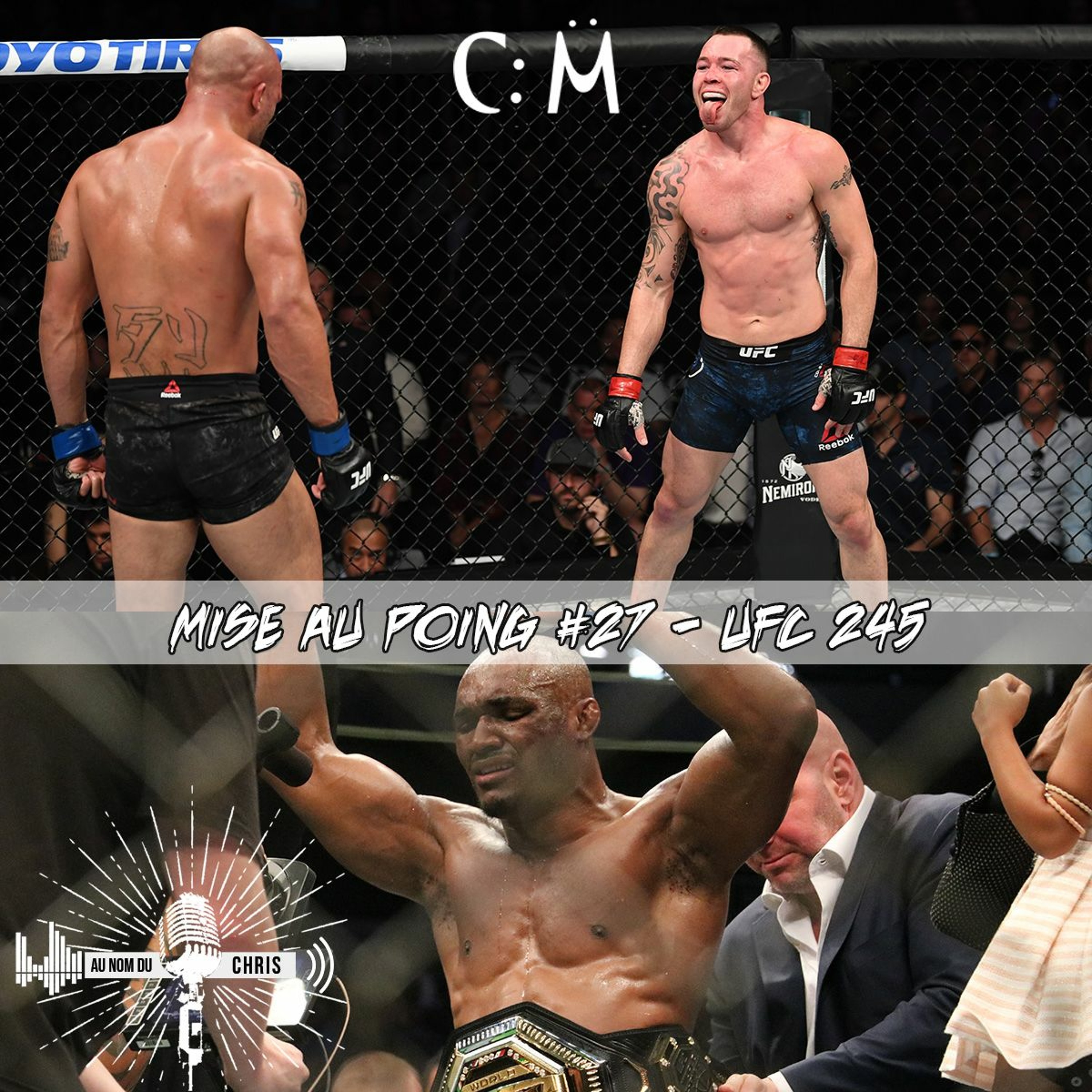 Mise Au Poing 27 - UFC 245