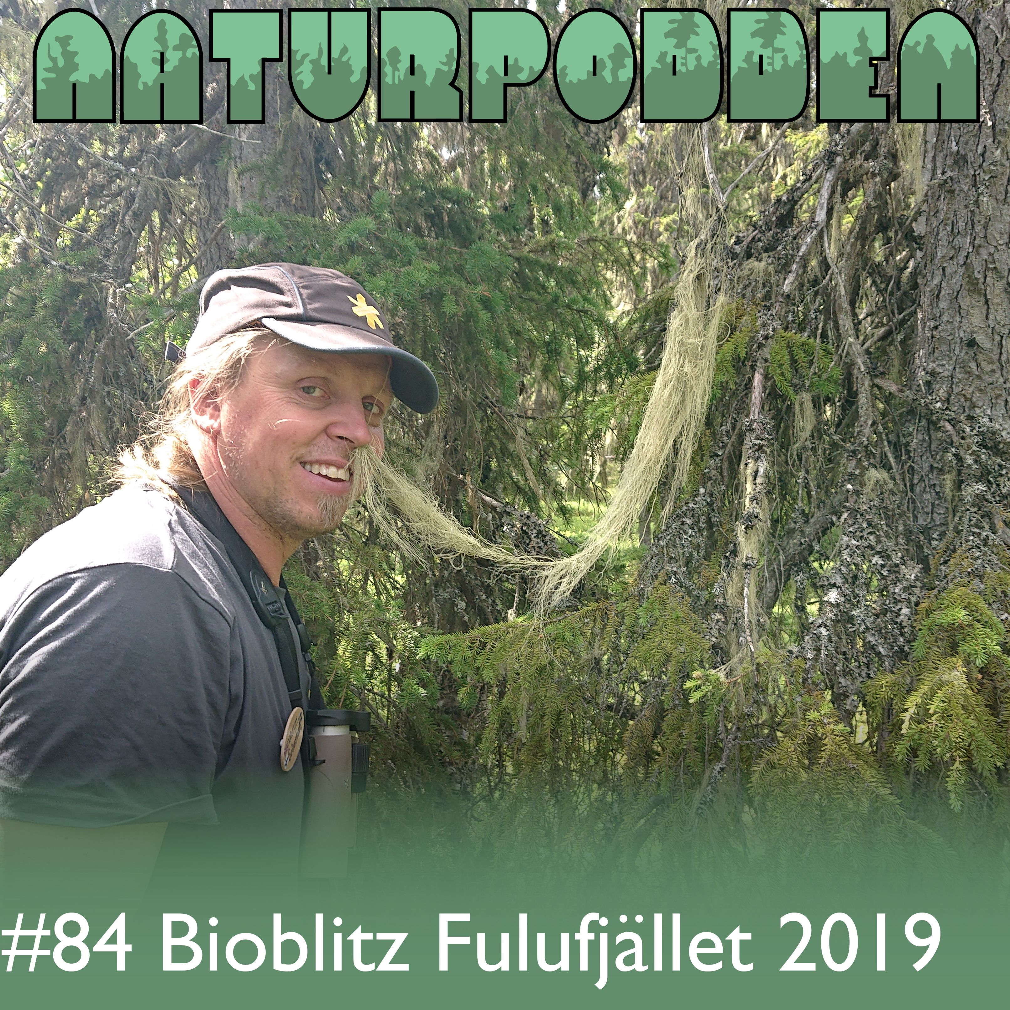 Avsnitt 84 - Bioblitz Fulufjället 2019