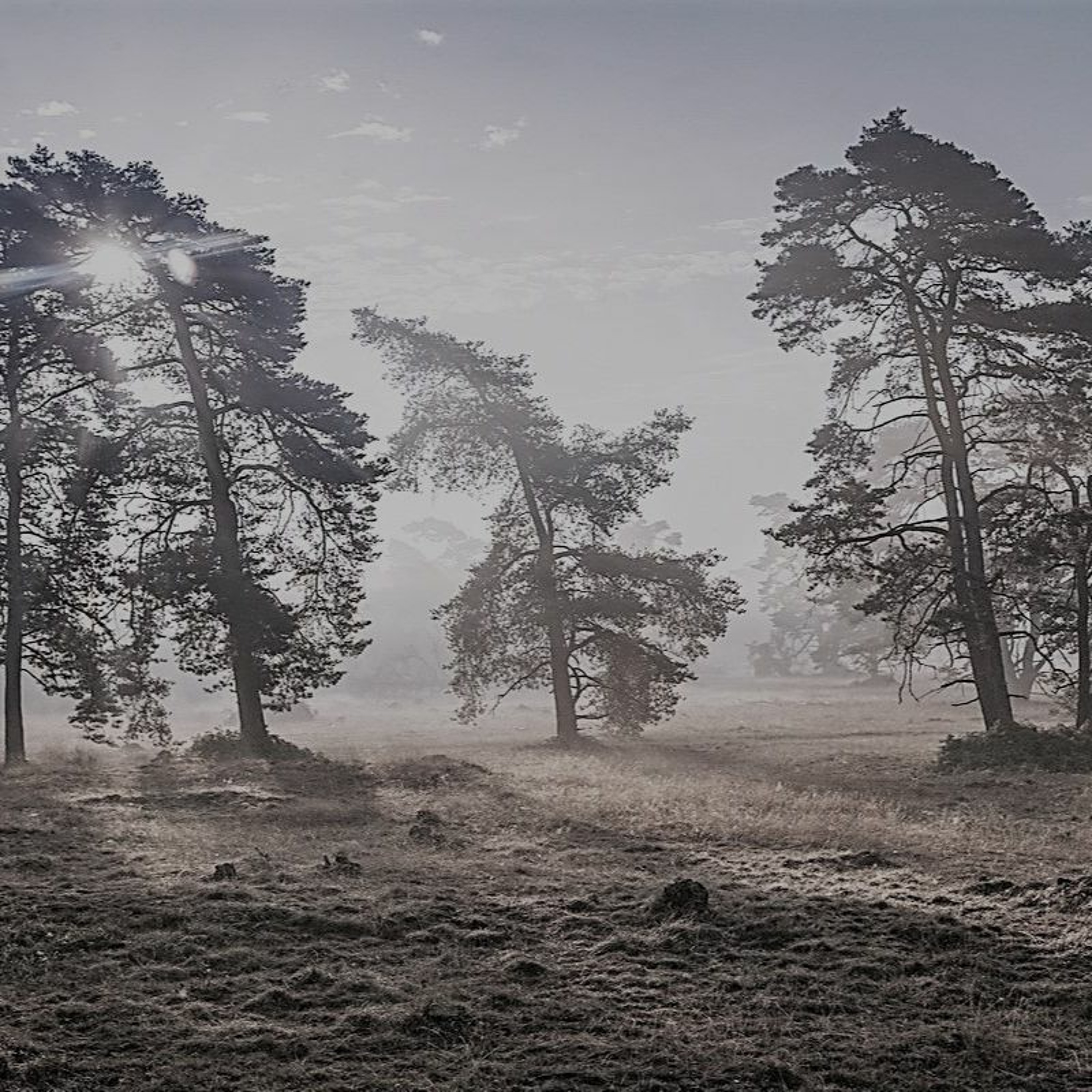 UITGELEZEN: ZKV (zeer korte verhalen)