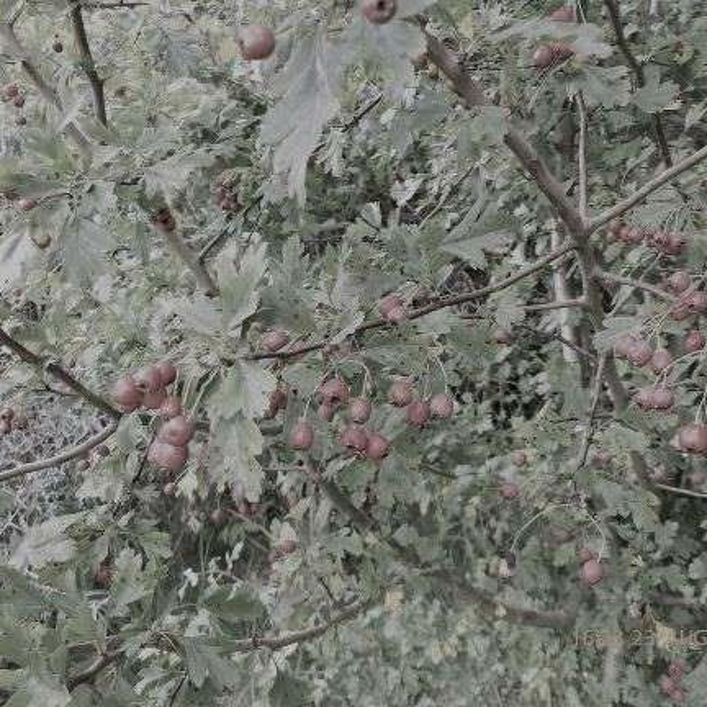 UITGELEZEN: ZKV (zeer korte verhalen)