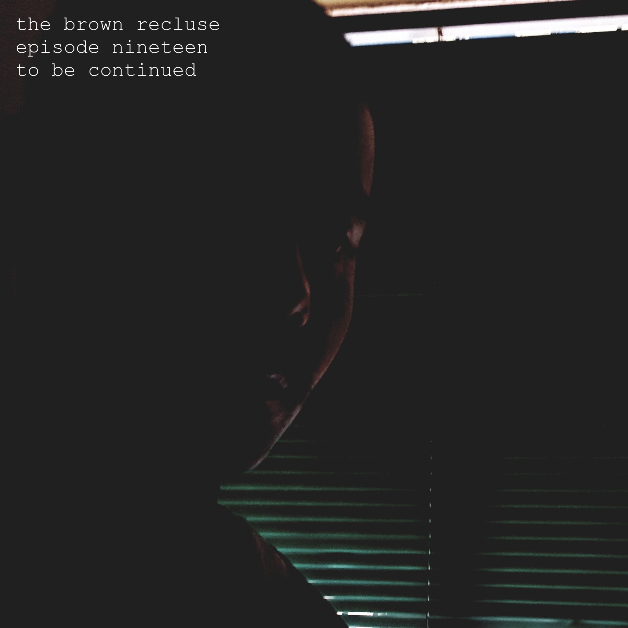 The Brown Recluse #19 | To Be Continued