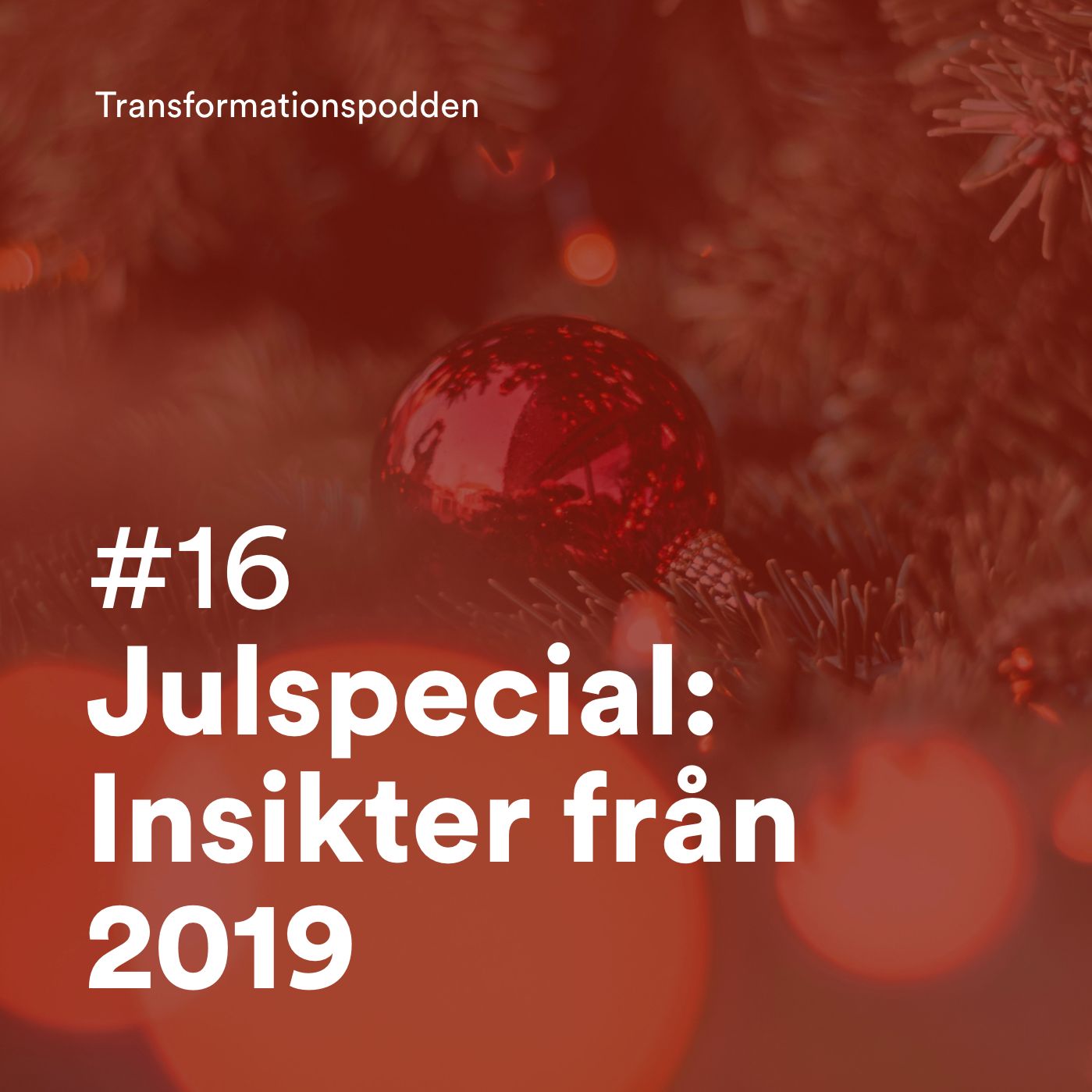 #16 – Julspecial: Insikter från 2019