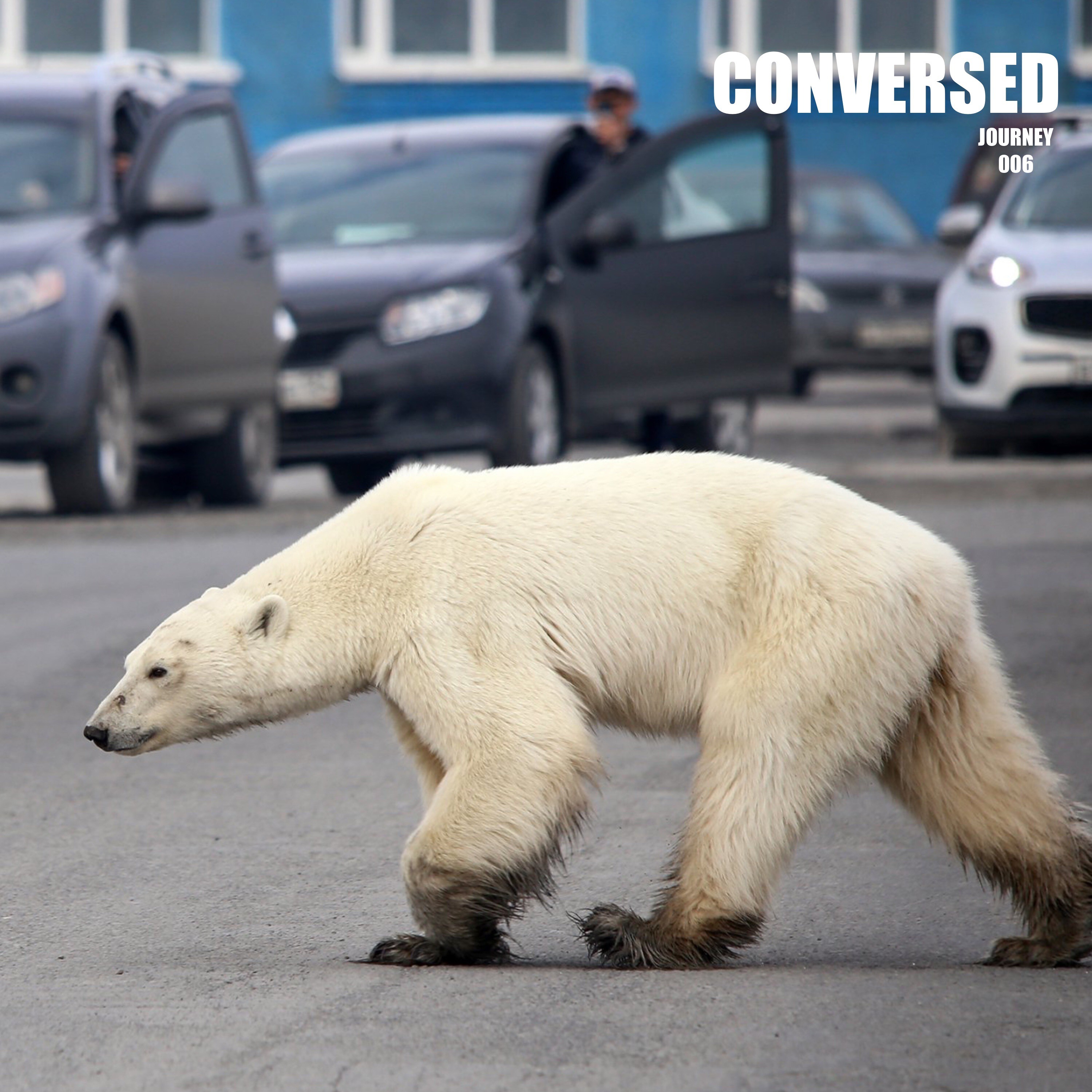 CONVERSED - Lets Grow Together