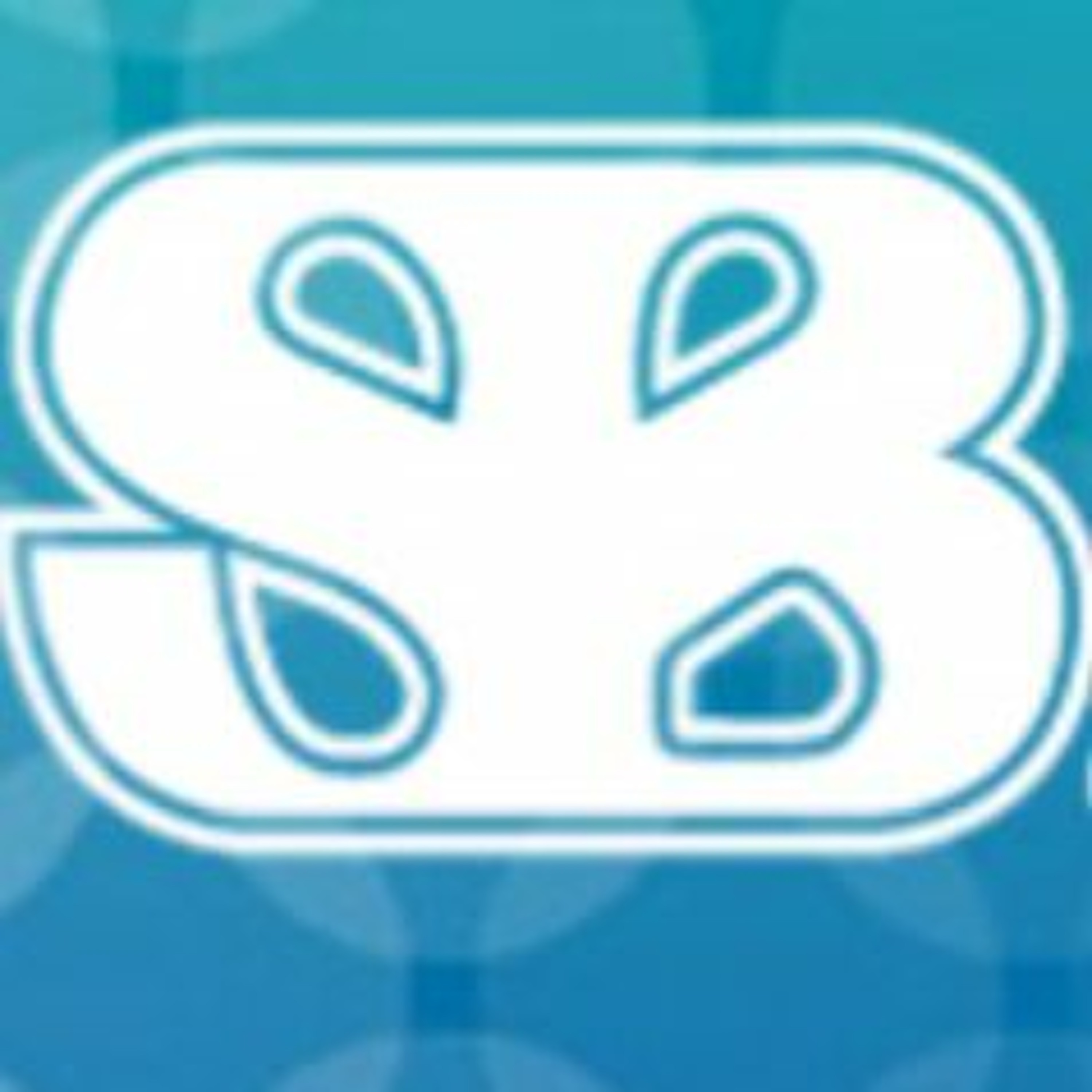 "The Spina Bifida Report"