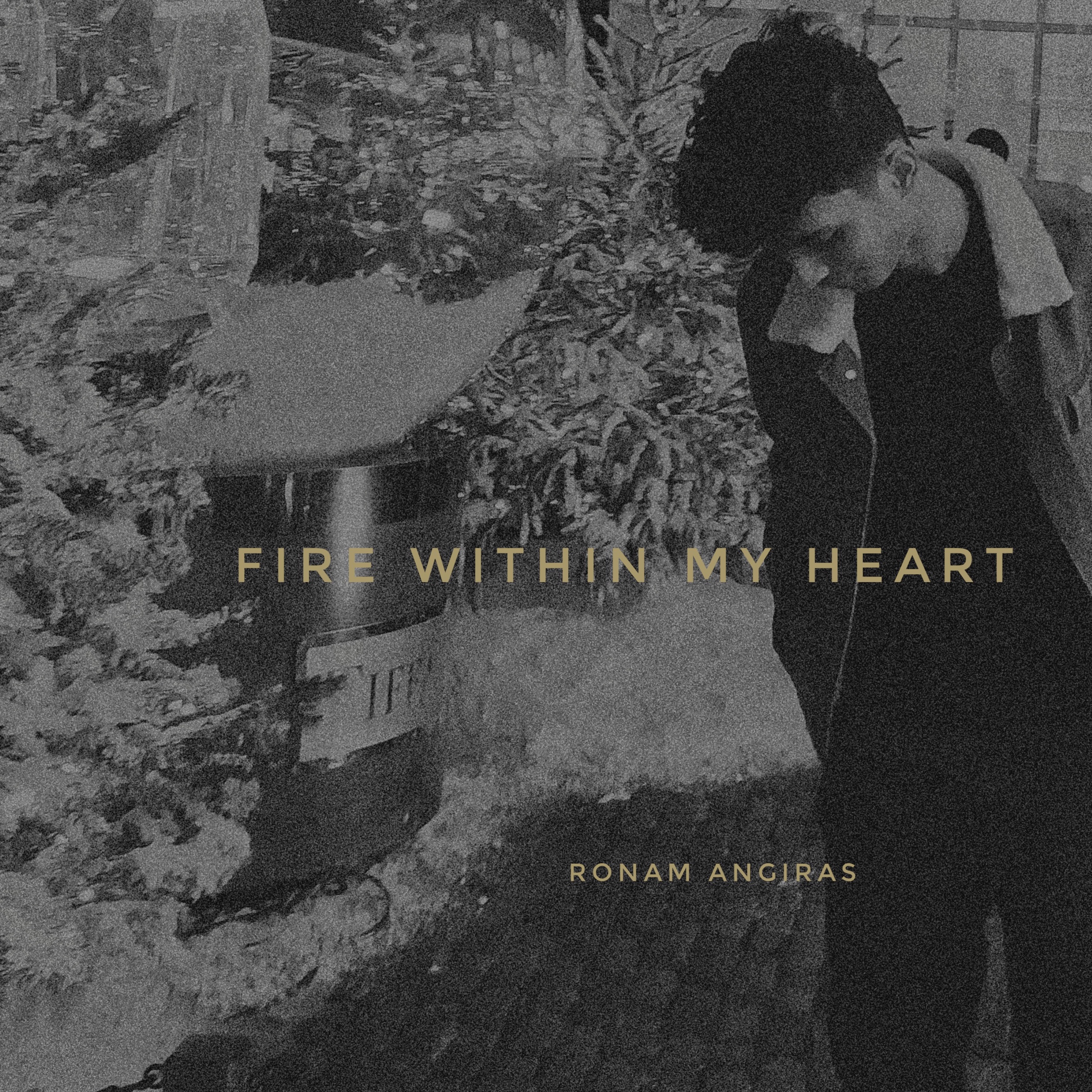 Fire Within My Heart
