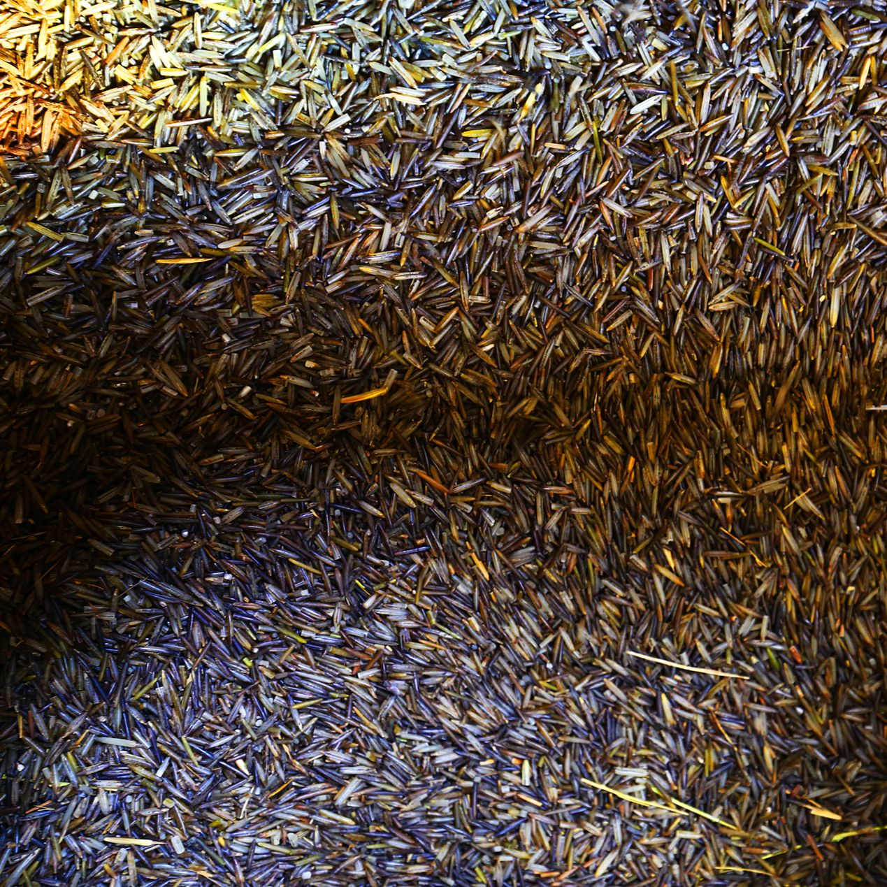 E60: Bruce Savage — Spirit Lake Native Farms