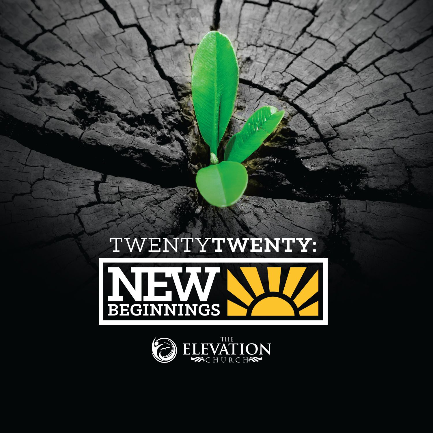New Beginnings