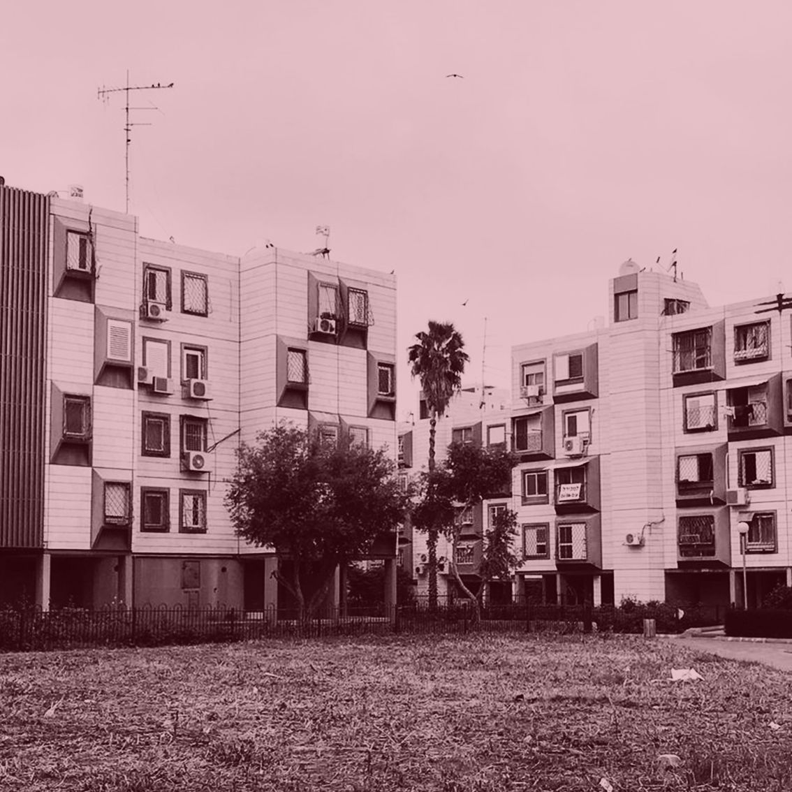 קצרצרים התחדשות עירונית | ארז צפדיה | עקירה וזהות