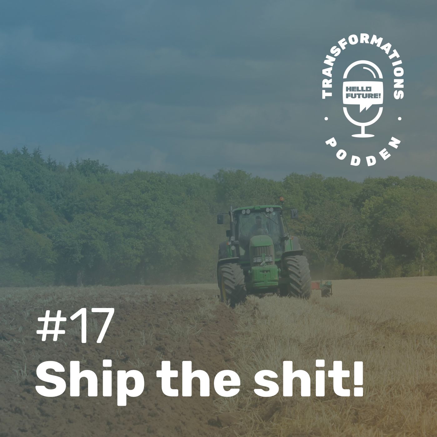 #17 - Ship the Shit!