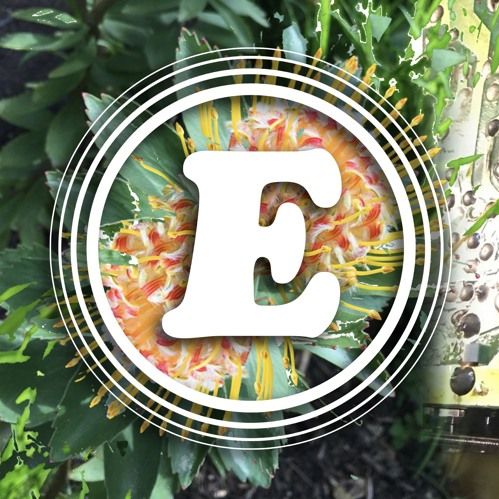 Euth Radio 022 - Early January 2019