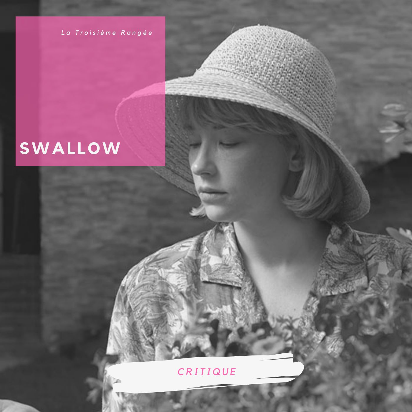 Critique - Swallow