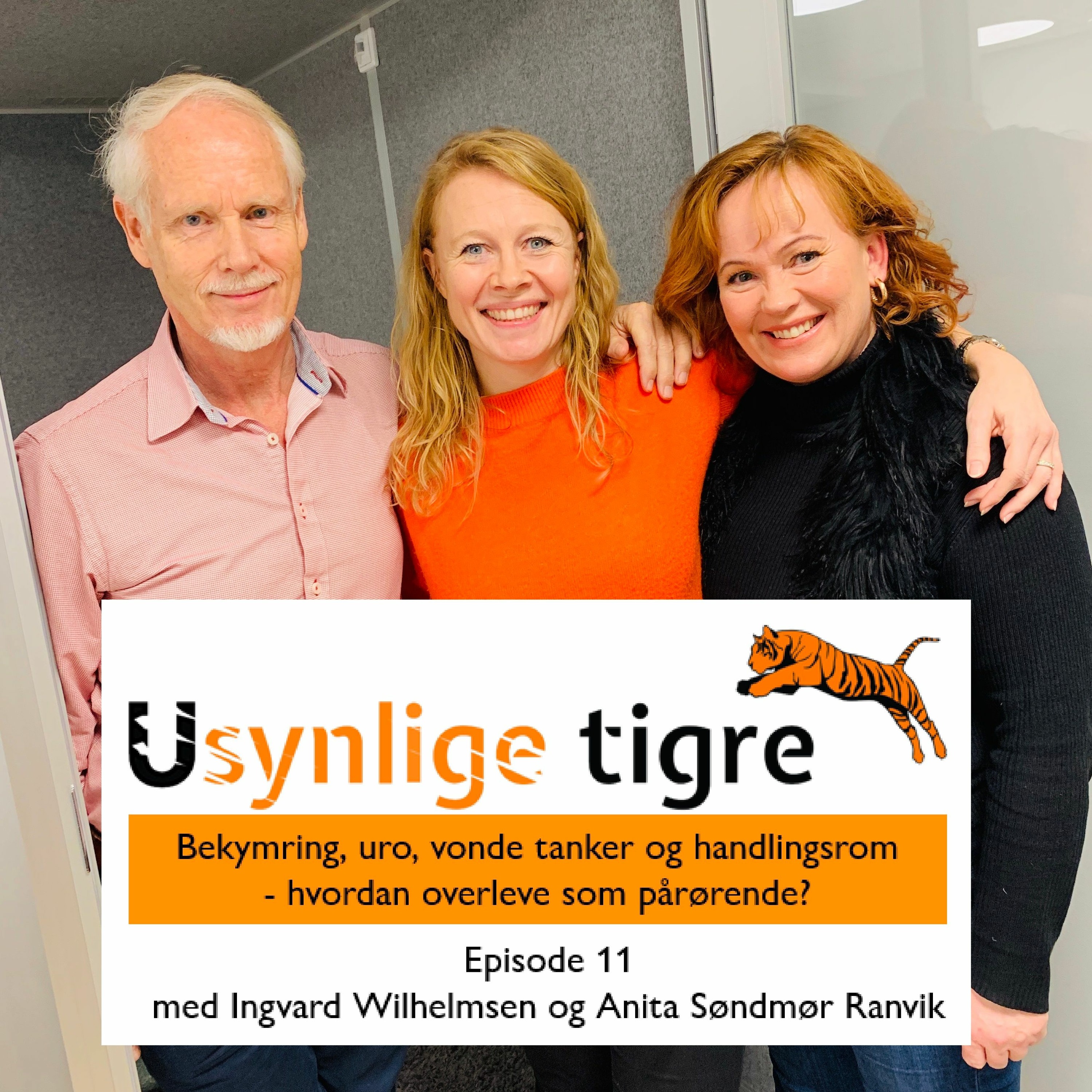 Usynlige tigre-podden