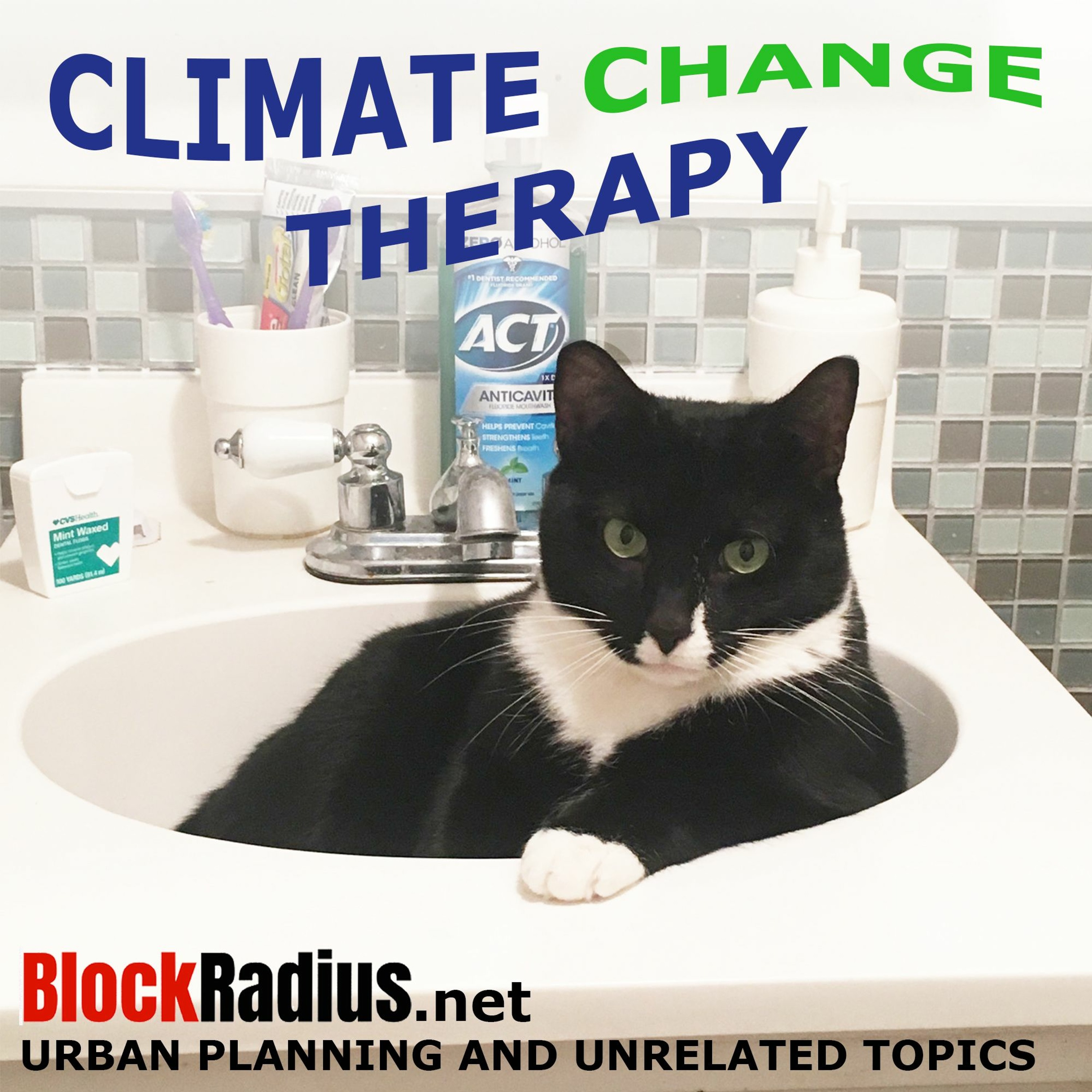 Climate Change Therapy