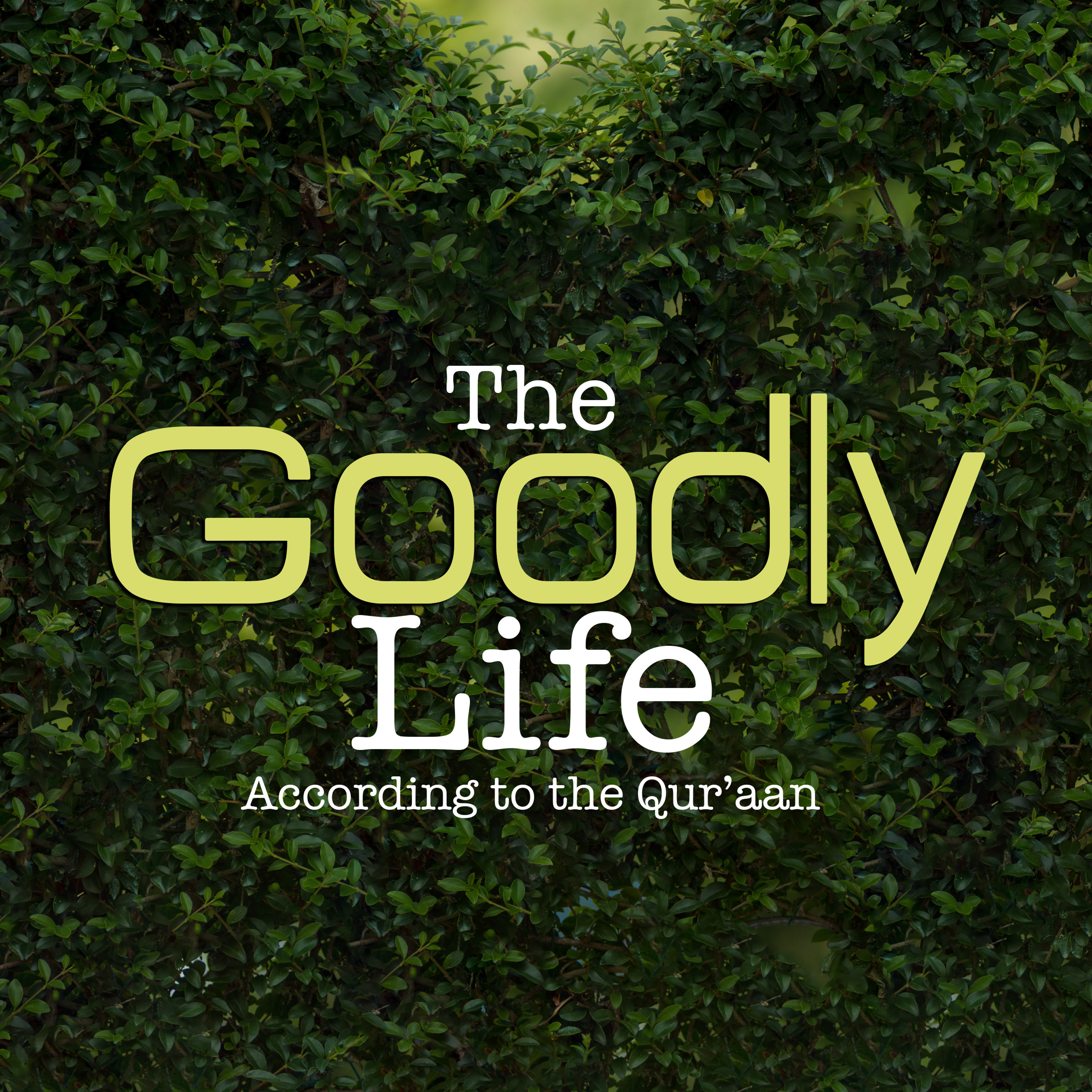 The Goodly Life According to the Qur'aan - Lesson 4